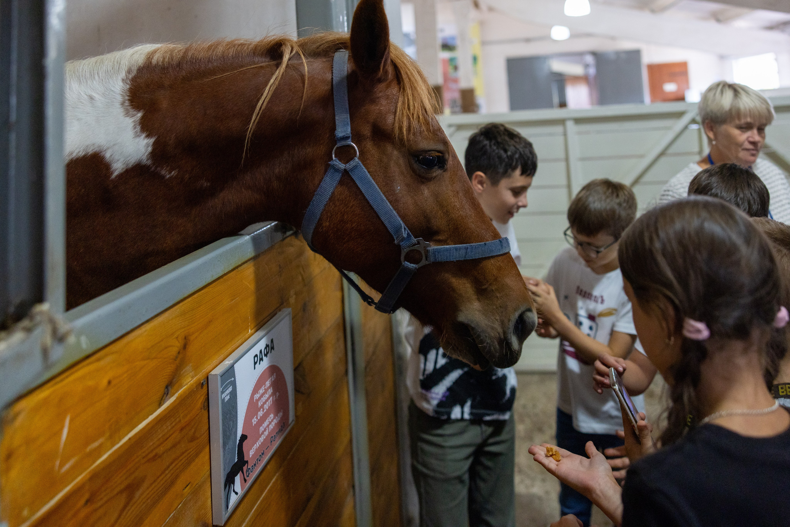 Поездка на поле Кулеково. Фотограф в Туле Крупский АнДРей. Фотостудия «КАДР71» в Туле