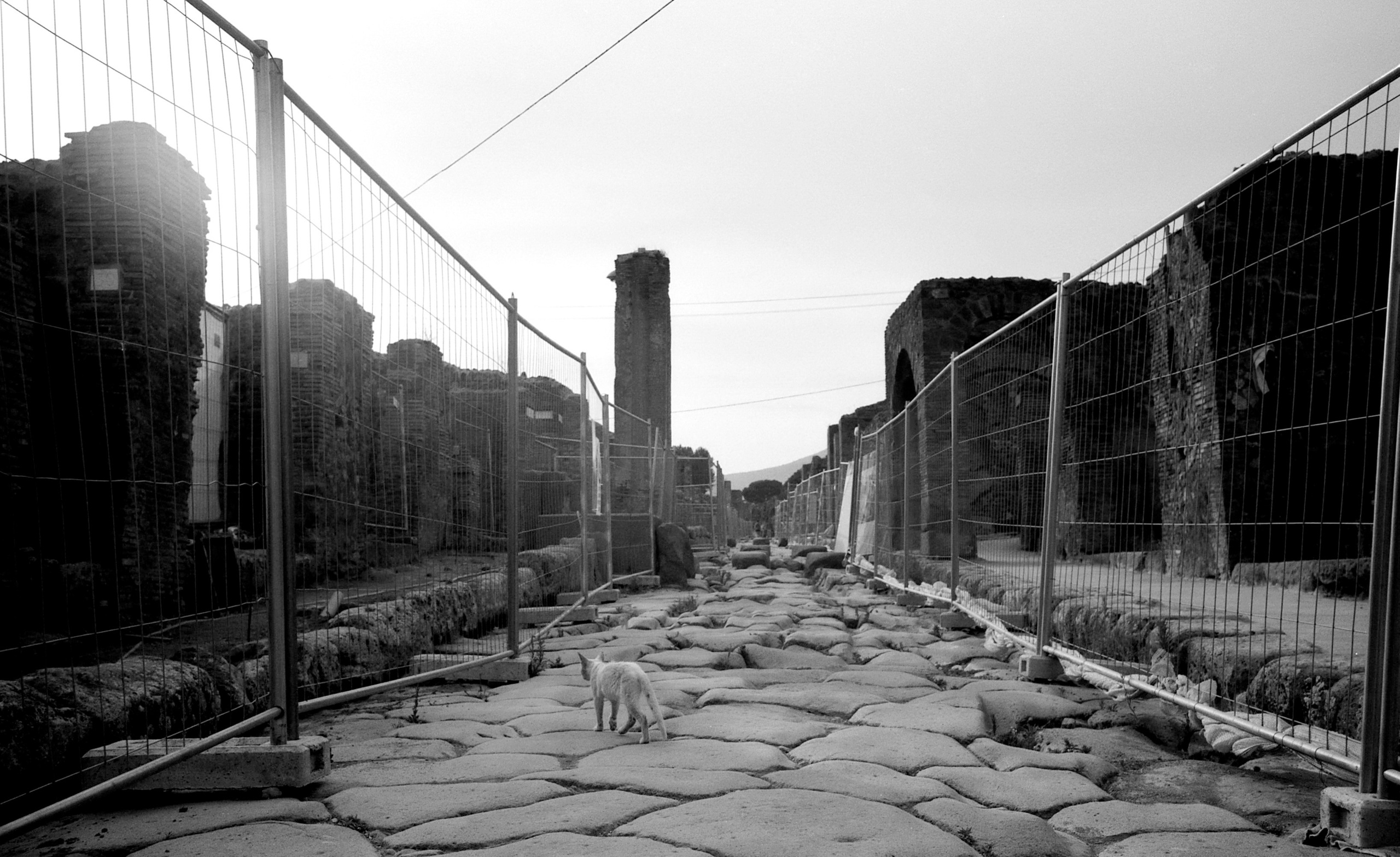 Италия, Кампания. Елена Никитина. Фотохудожник. Пленочная фотография. Принты