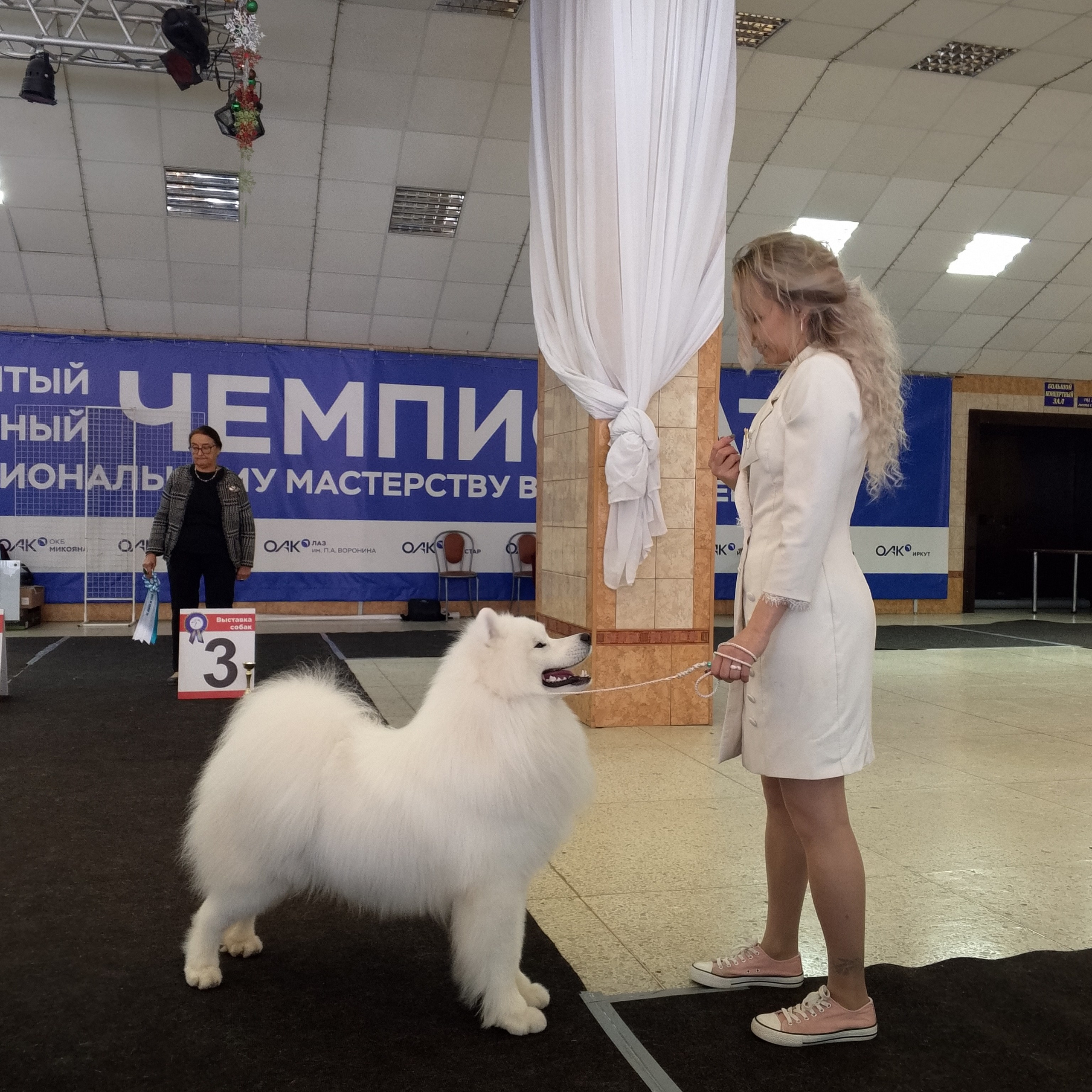 RAFAEL BELOE ZOLOTO SIBIRI. Самоед Новосибирск