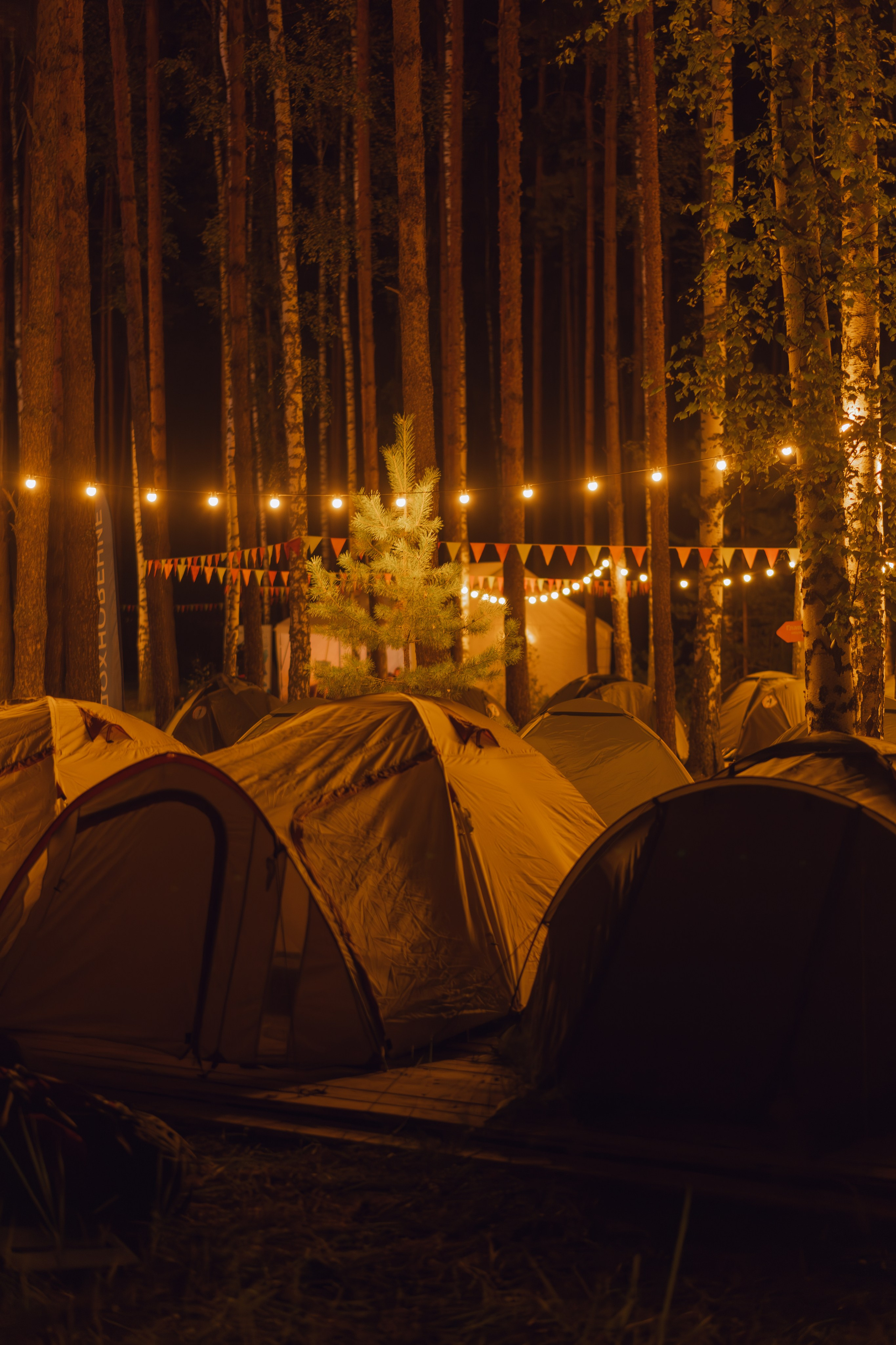 Окружной туристский слёт «Больше, чем путешествие» 2025. Фотограф Надежда Погребняк | Рязань | Москва