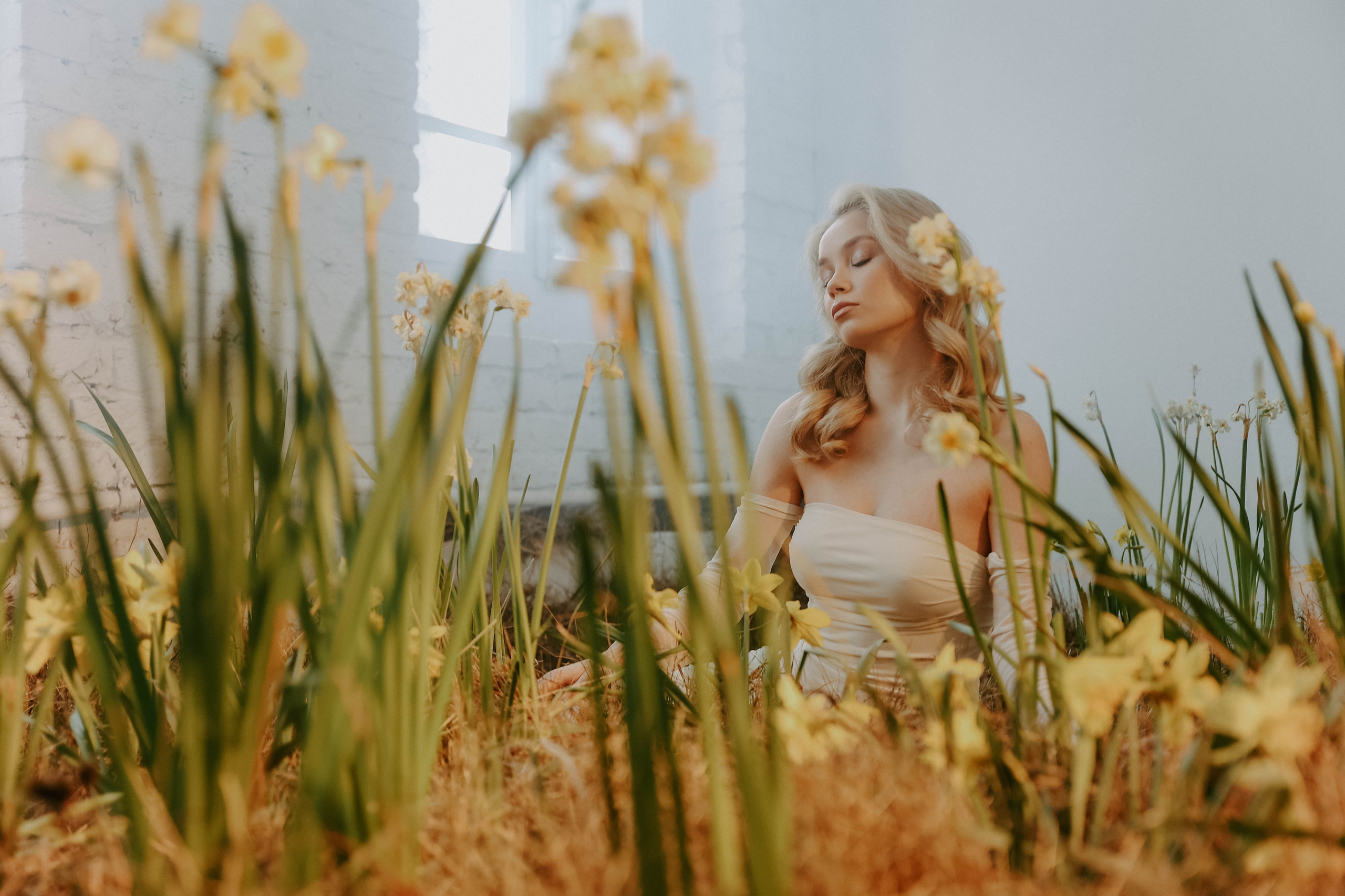 Весна. Нарциссы. Фотограф в Москве и любой точке земного шара Алёна Вялова (Чулкова)