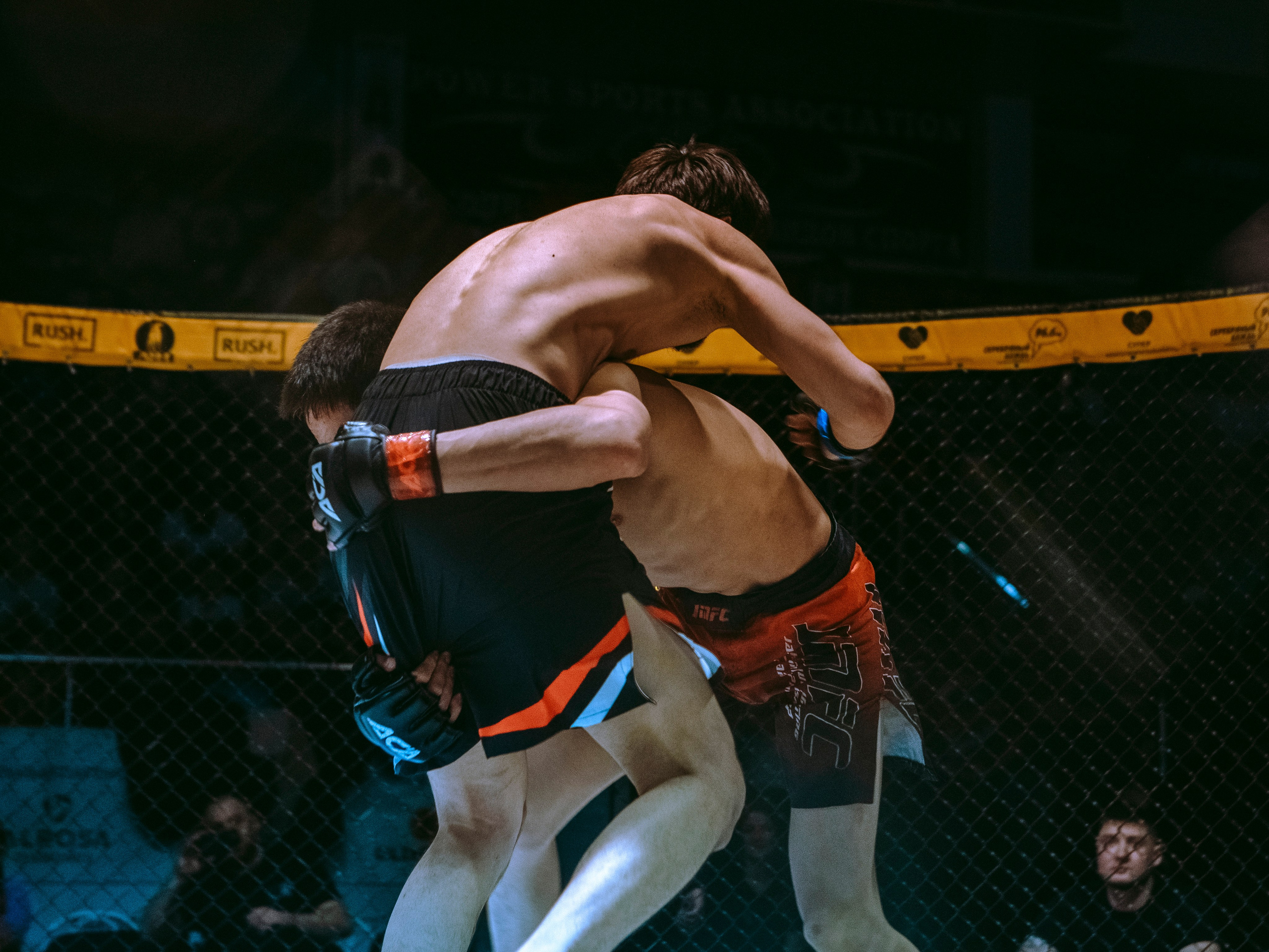 SFL 17 | Siberian Fighting League. Портретный фотограф в Москве Дарья Цезария