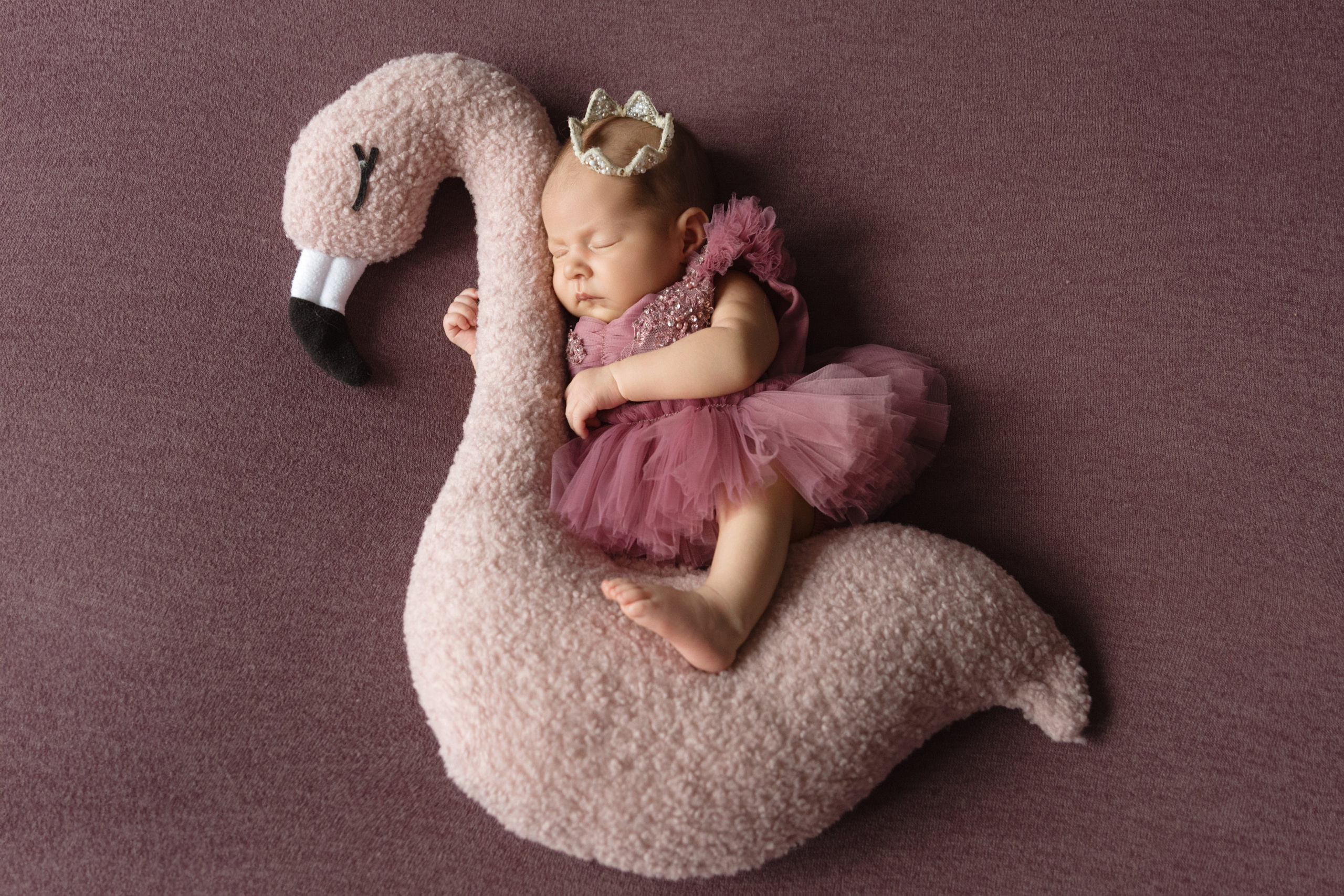 Корзинки и мягкие игрушки для фотосессии новорожденных фотограф Вета Ленская. Фотограф беременности и новорожденных в Красноярске Вета Ланская