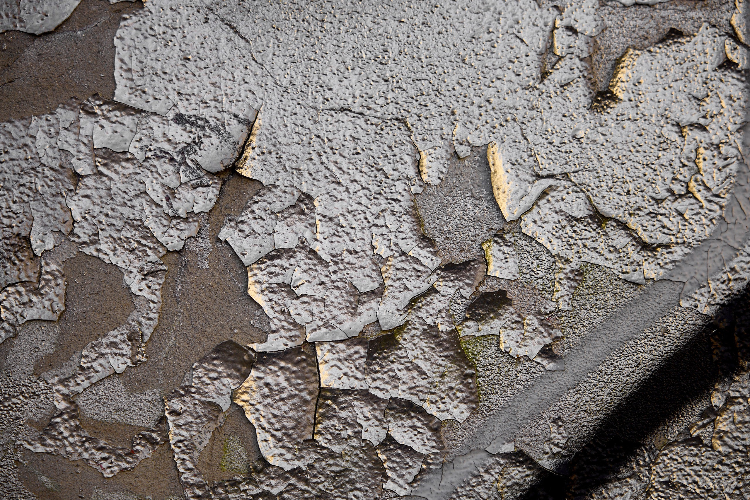 Не чай с Сахаром от 2024_06_18. Профессиональный фотограф в Екатеринбурге Юра Сахар