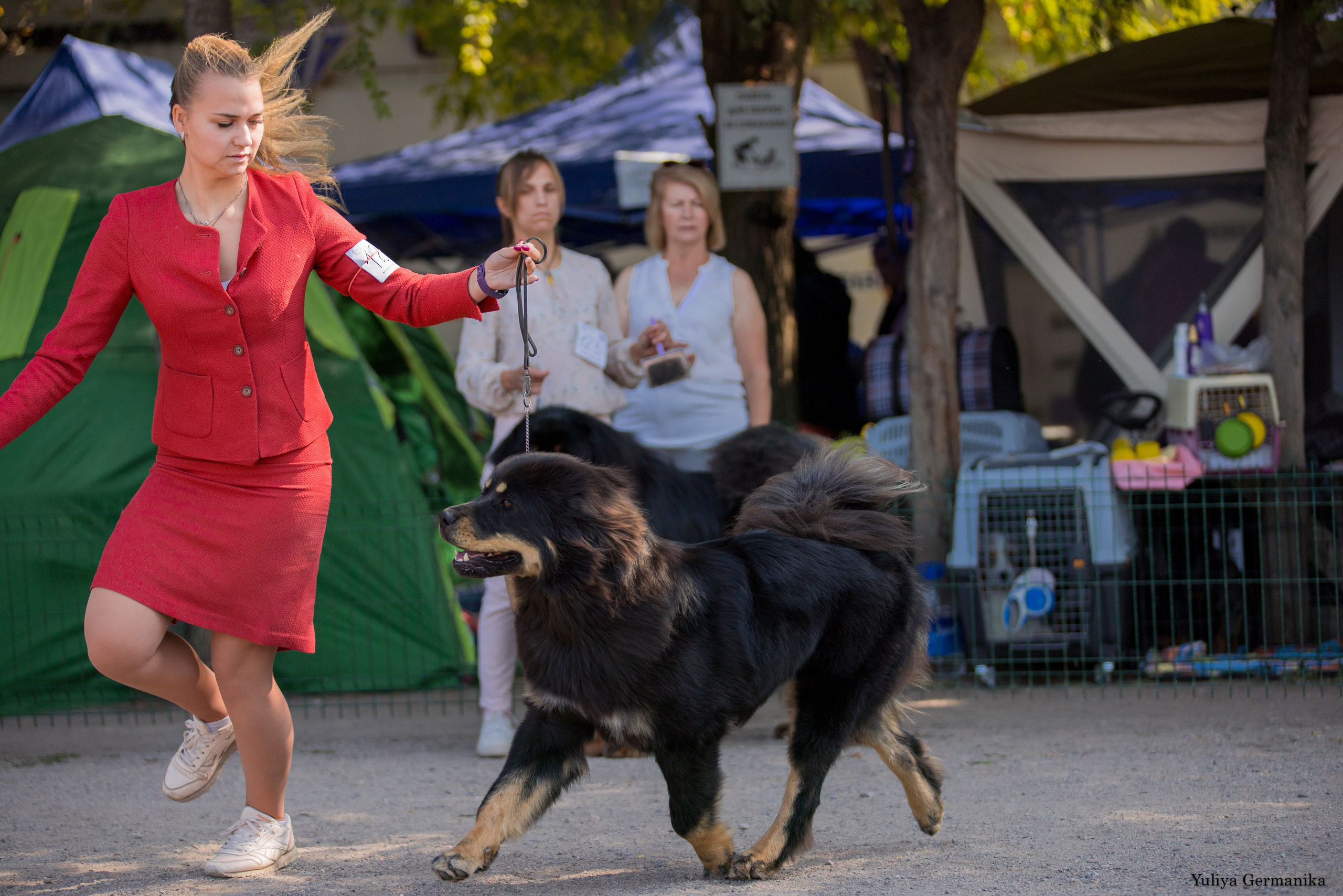 Бишкек 29.09-01.10.2023. Фотограф-анималист Юлия Германика