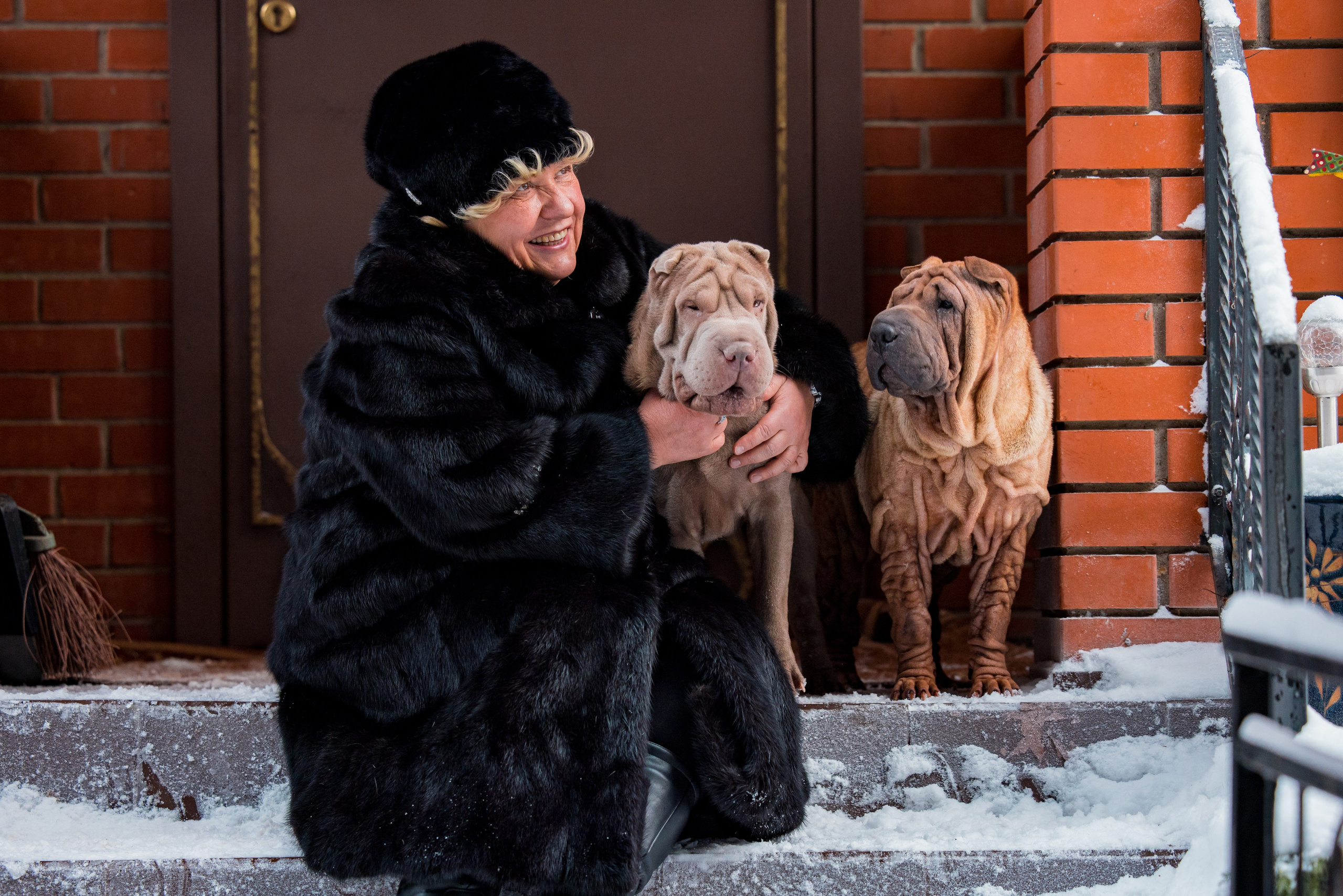 В гостях у шарпеев 16.01.2024. Фотограф-анималист Юлия Германика