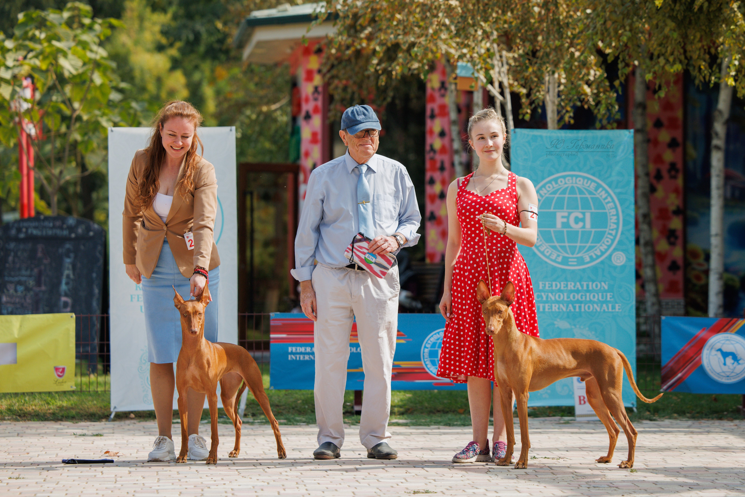 Ташкент 3хCACIB 3-5.10.2025. Фотограф-анималист Юлия Германика