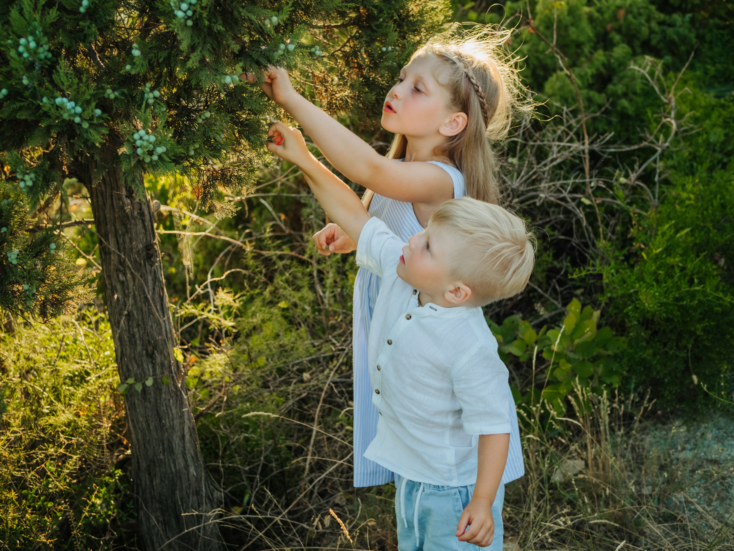 Снимаю с душой! Фотограф Ломакина Юлия. Анапа. 89618282827. Семейный, детский, свадебный, фотограф в городе Анапа