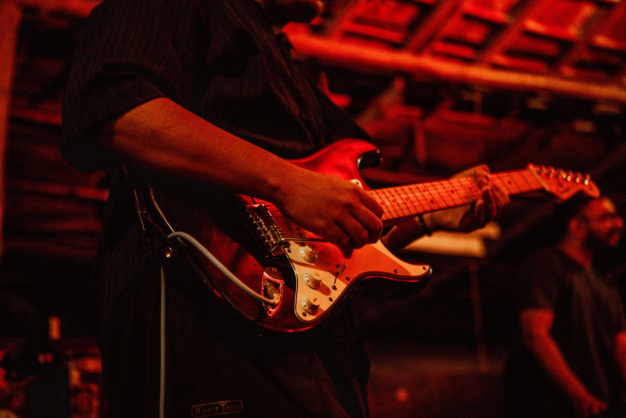 TWICE IN NATURE. Сайт Фотографа MASHASOLAR