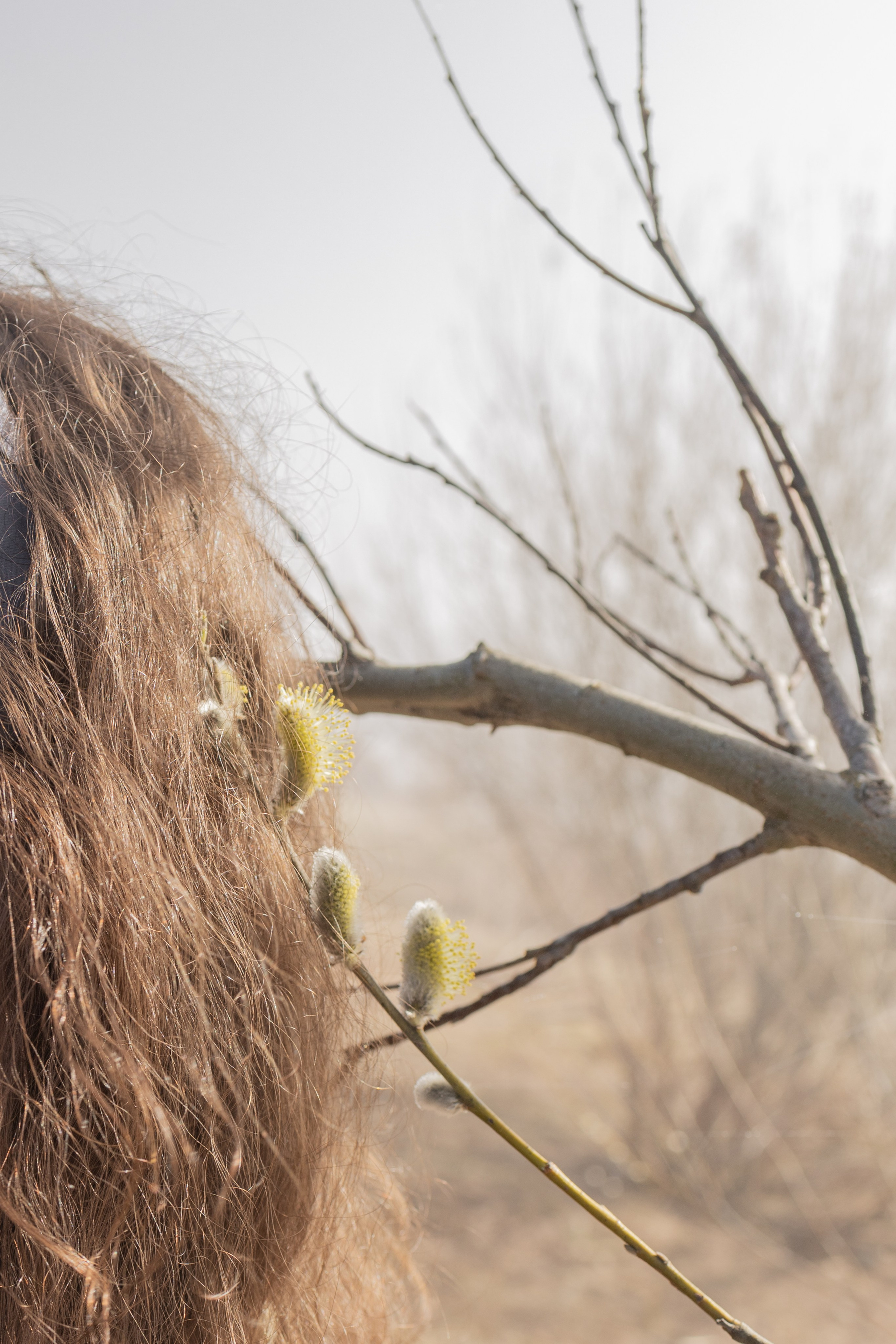 Эстетика П р о Я в л е н и я. Виноградова Маргарита. Фотограф P r o Явления