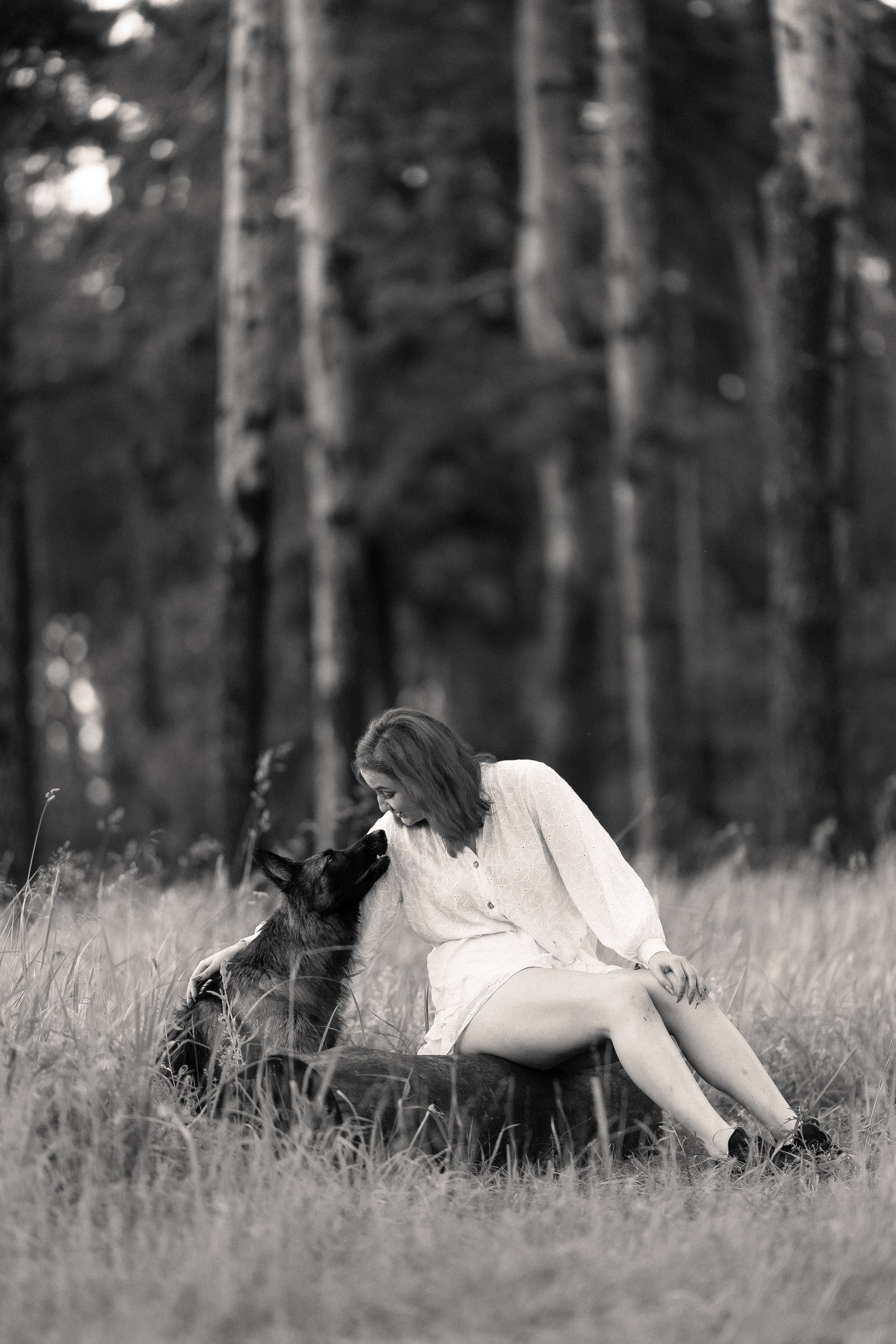 Алена, Фанни и Фрея. Фотограф и видеограф анималист Аганина Дарья