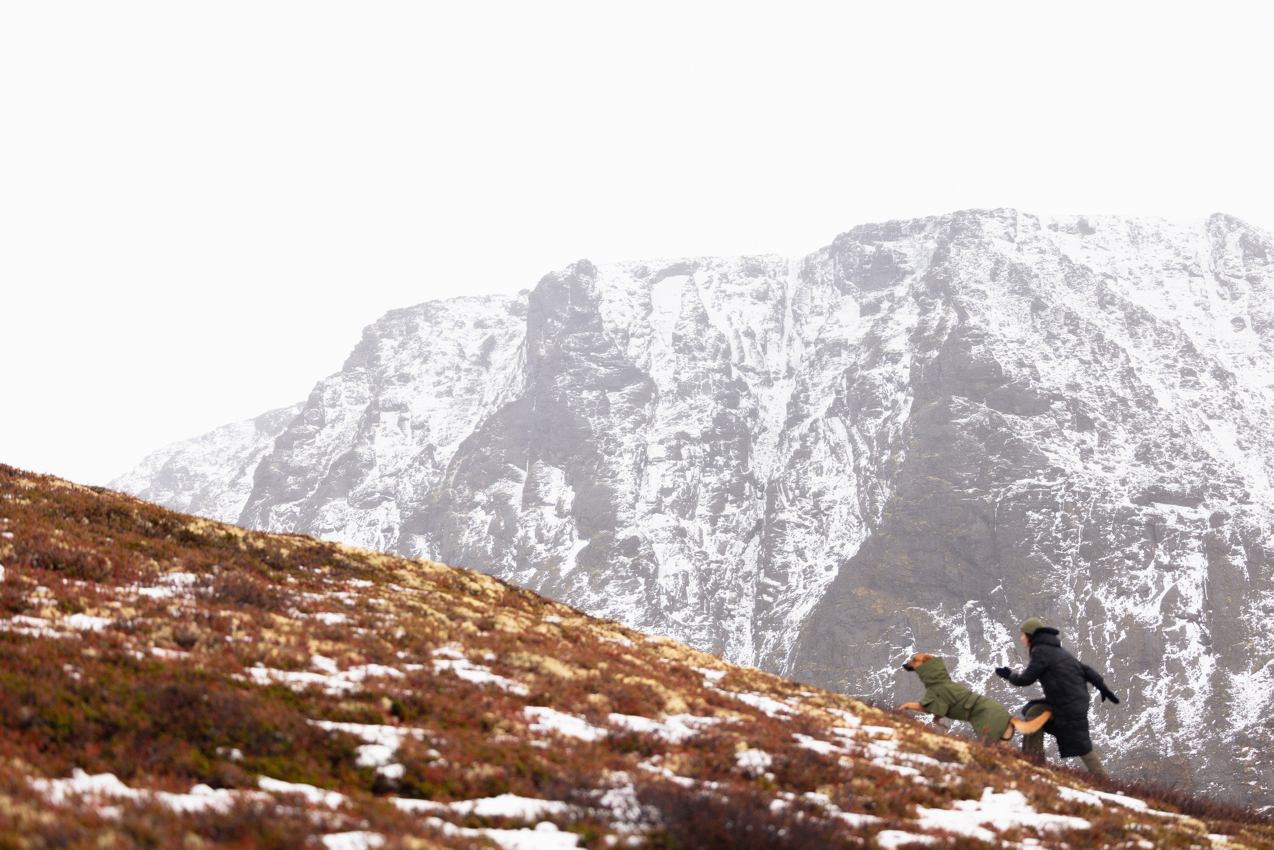 Кольский. Фотограф и видеограф анималист Аганина Дарья
