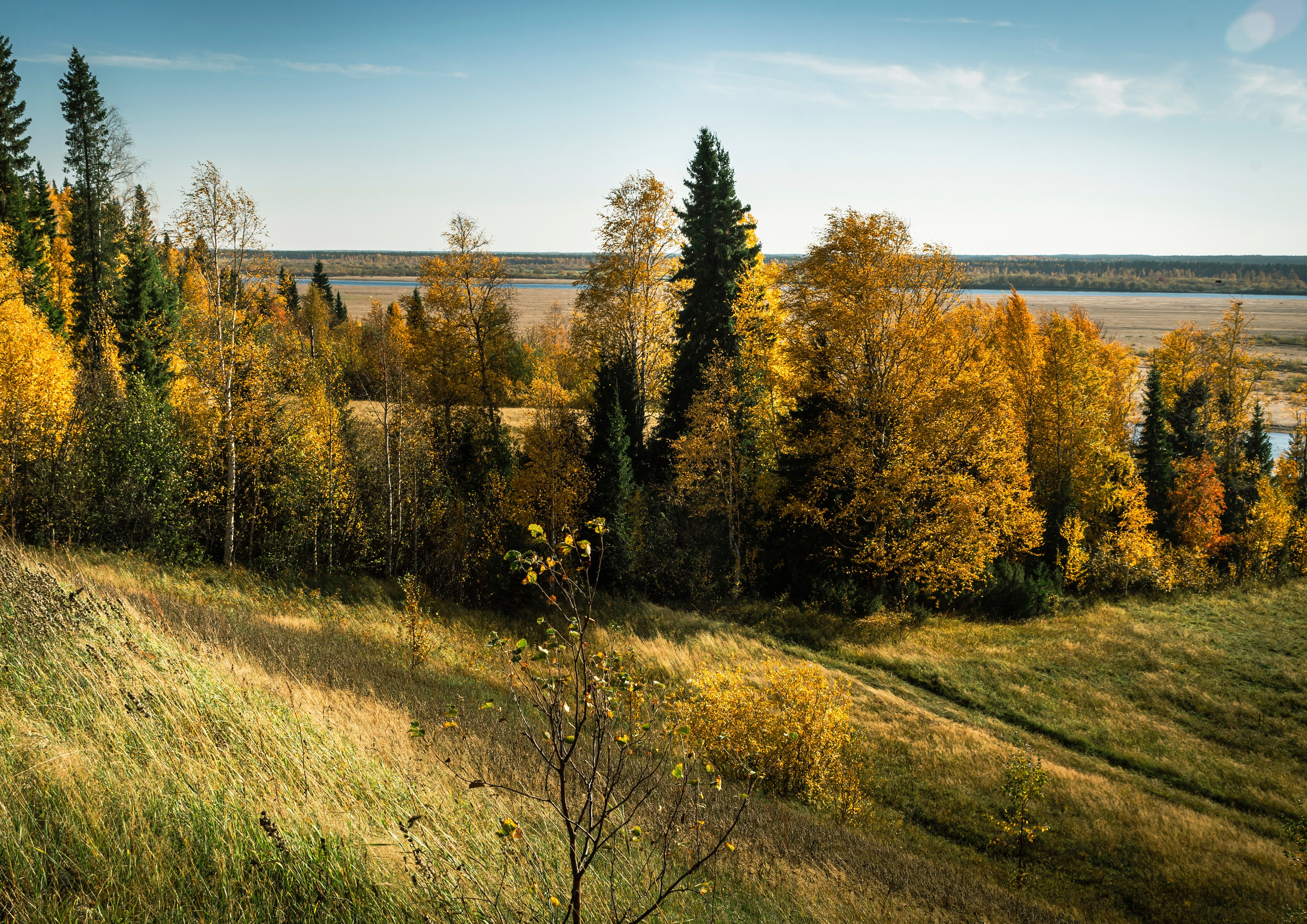 Осень. Фотограф в с. Ижма Республика Коми Терентьев Сергей