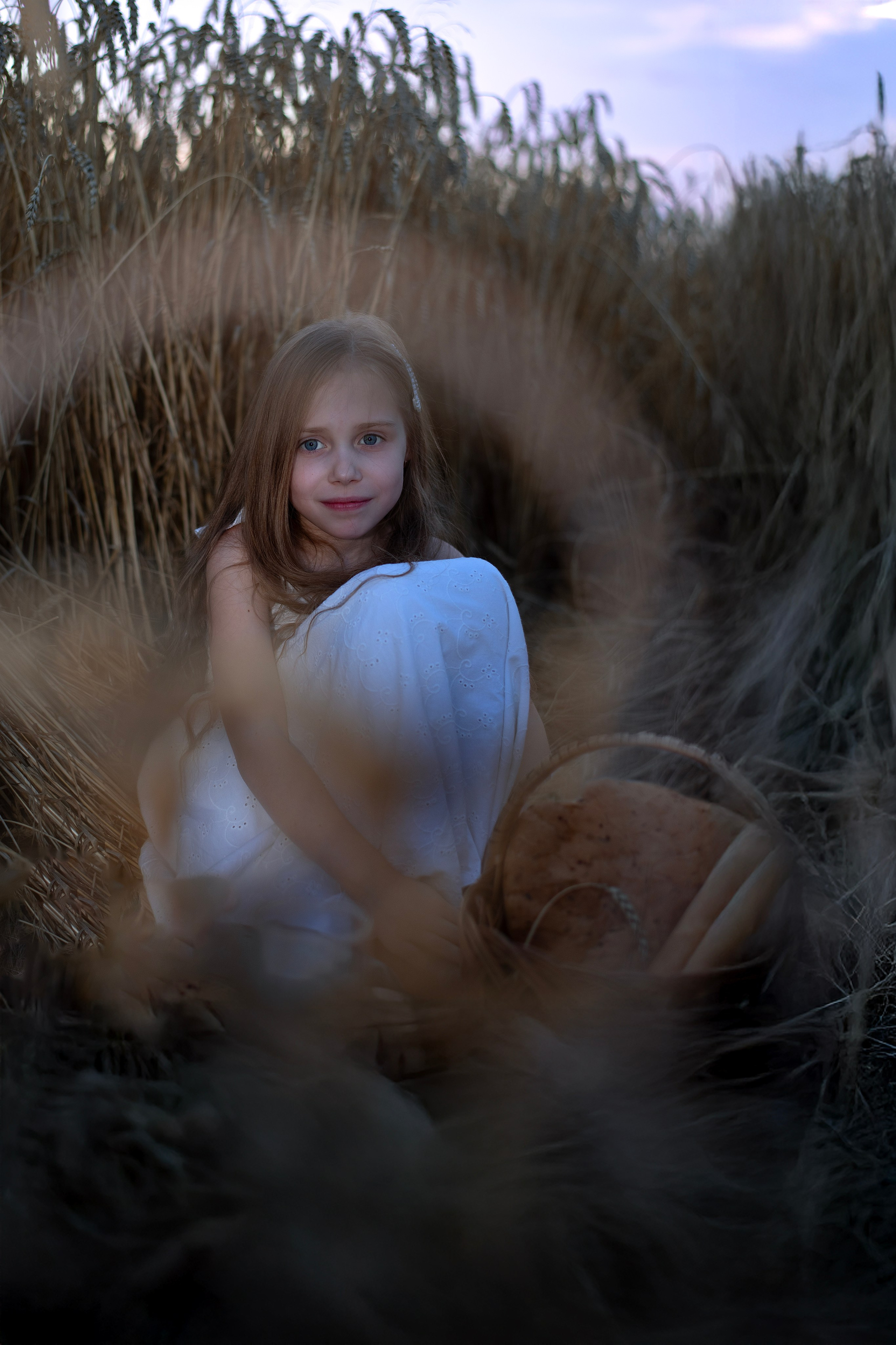 Поле пшеницы. Главная