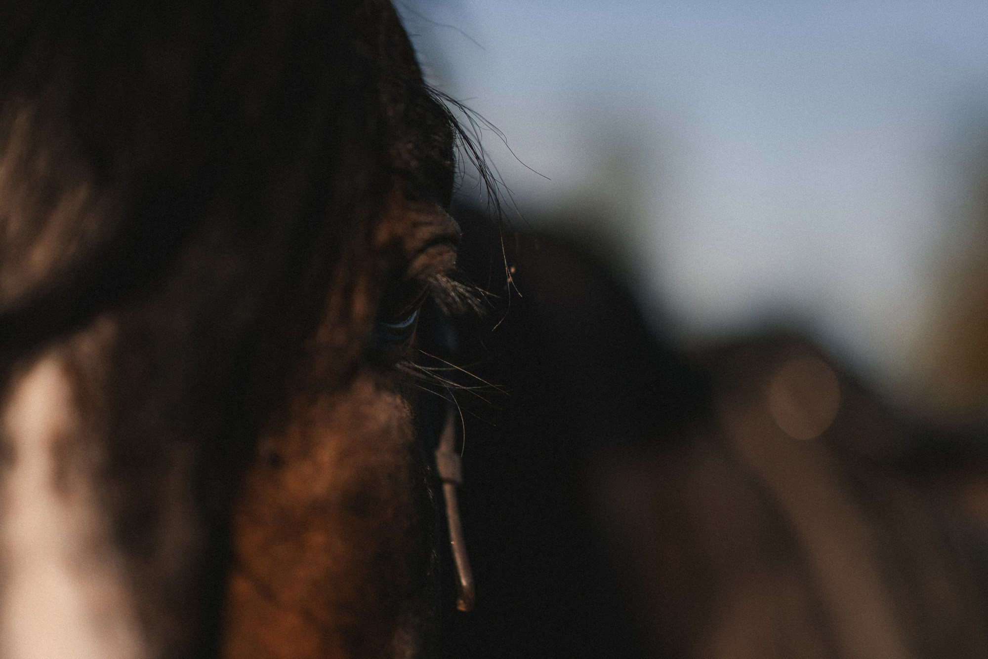Виктория. Фотограф в Мурманске Екатерина Рудак