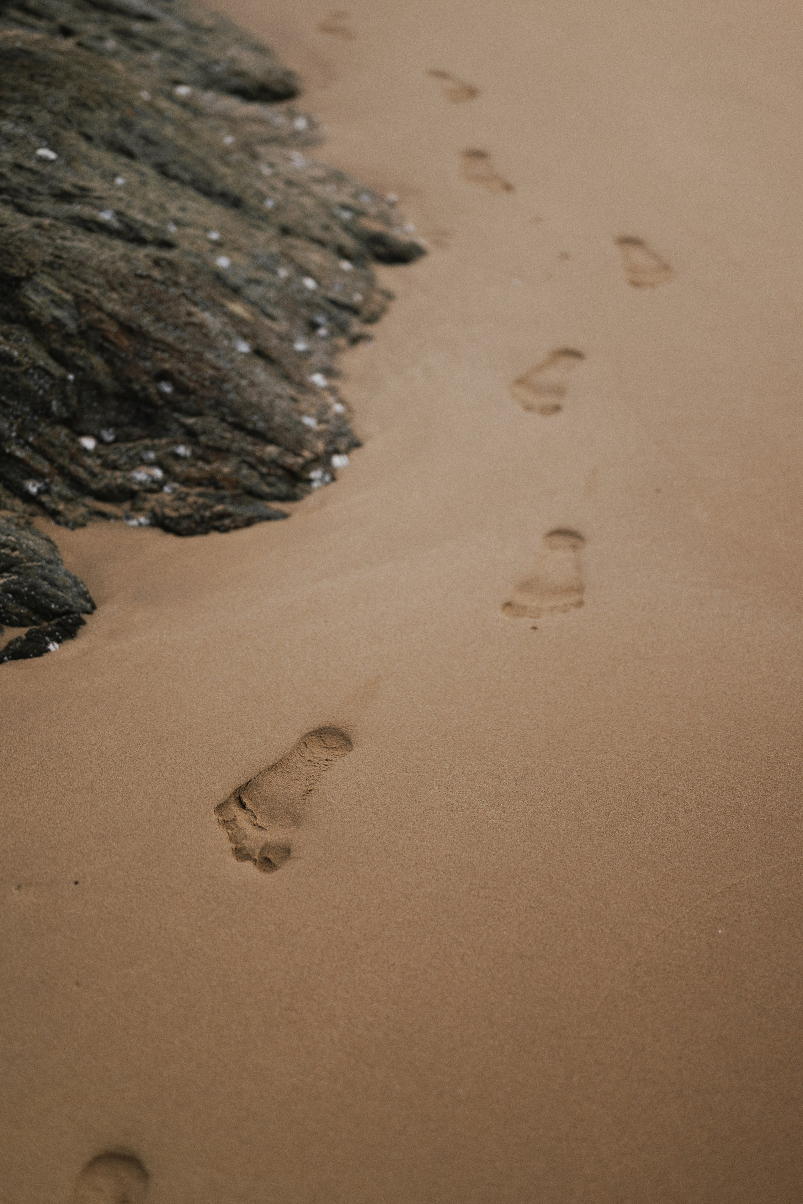 Александра. Алёна Куртова