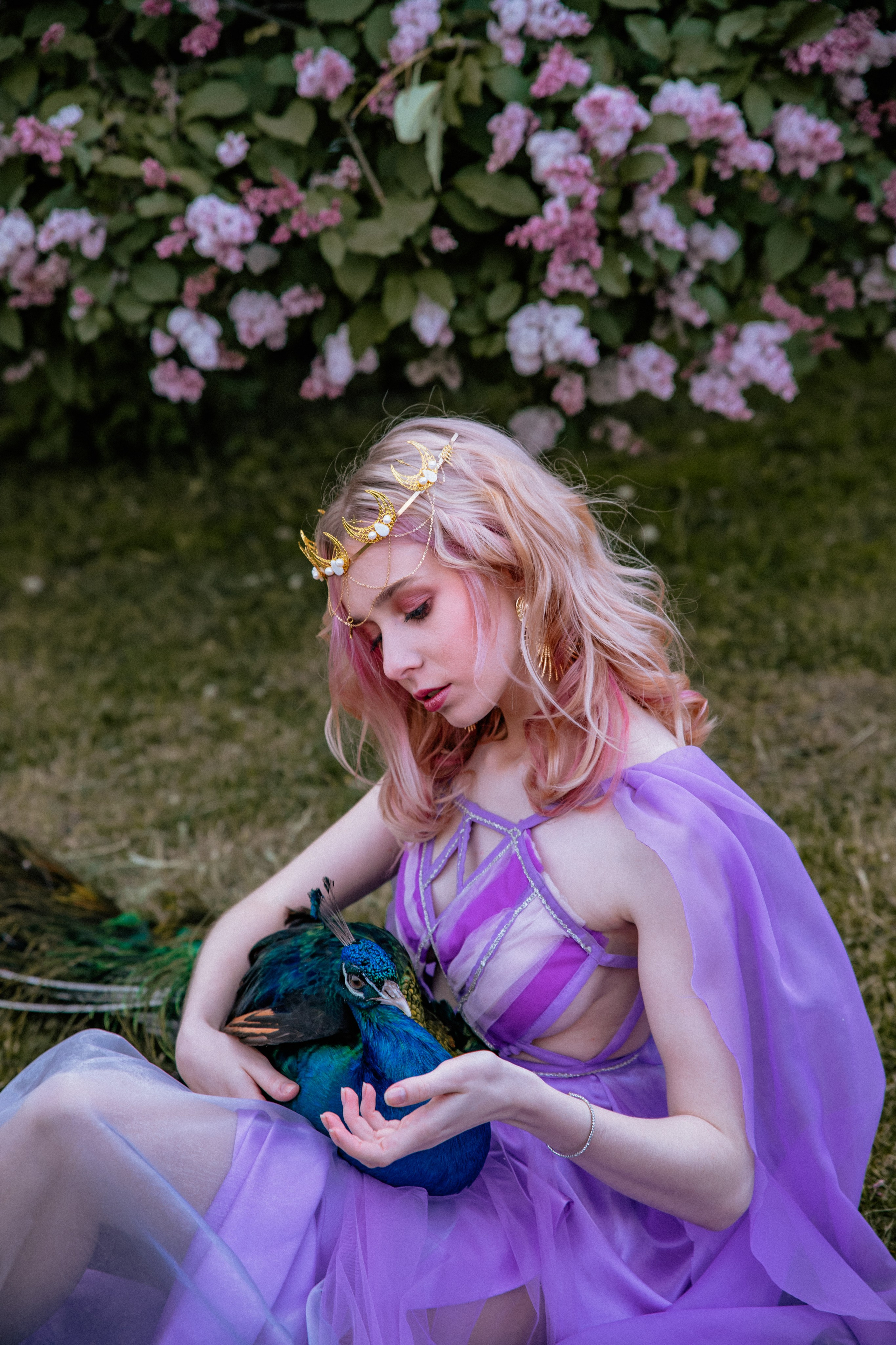 Павлин. Elena Sova — семейный и женский фотограф в Санкт-Петербурге