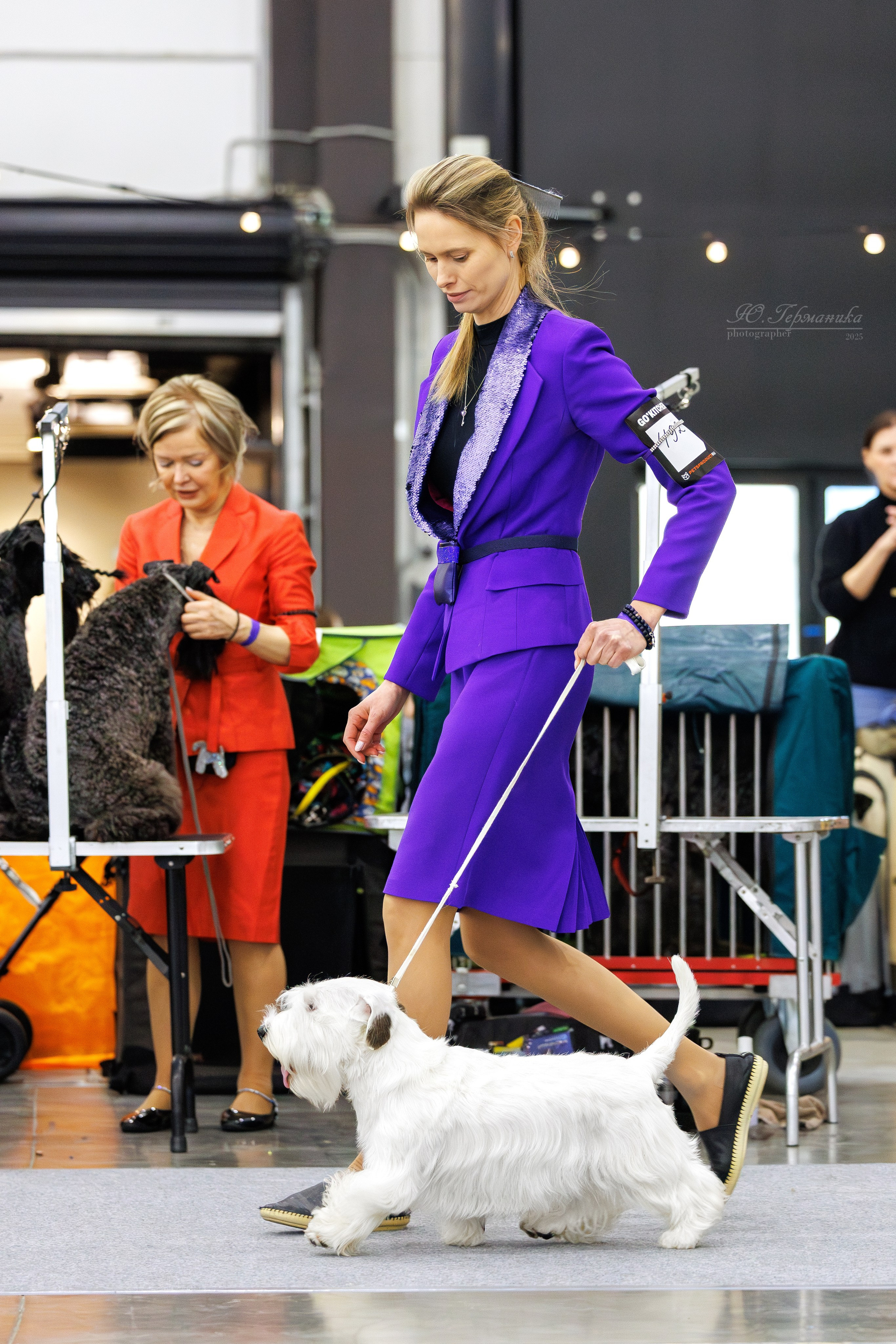 Питер 12-13.12.2025. Фотограф-анималист Юлия Германика