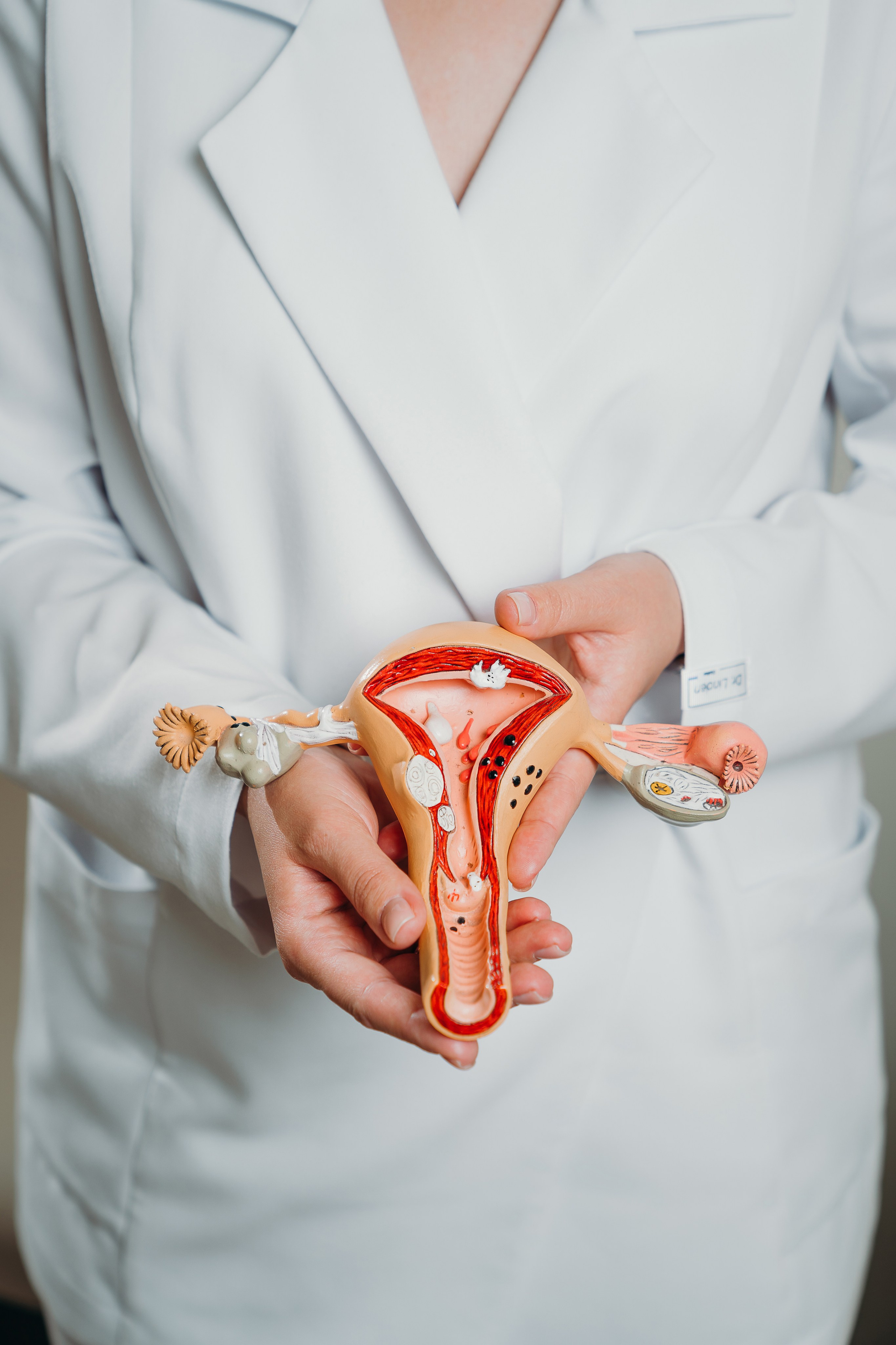 Врач гинеколог, репродуктолог. Контентный и свадебный фотограф в Краснодаре и Сочи Елена Плотникова