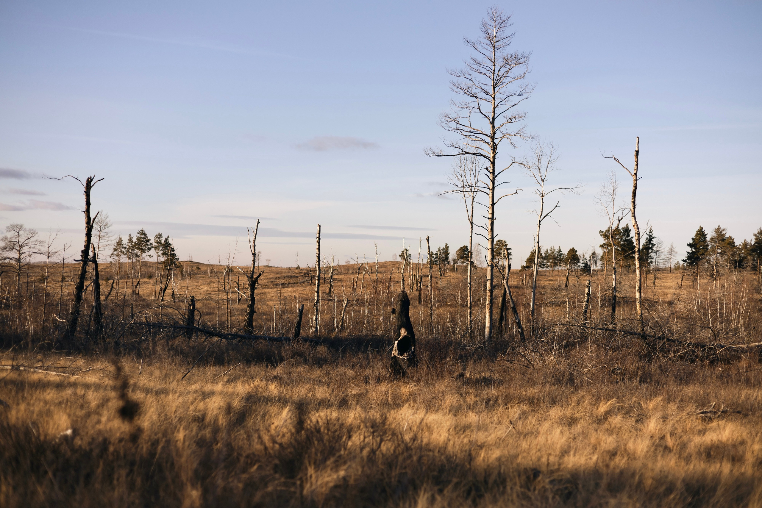 Евгений Андреевич Тележкин. Скульптор. Репортажный фотограф Наталья Лапцевич