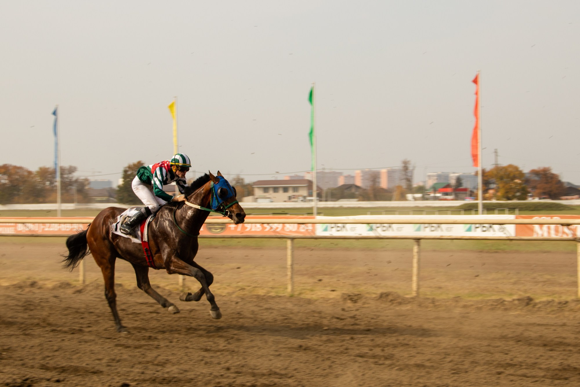 Закрытие скакового сезона на Краснодарском ипподроме. Репортажный, промышленный и маркетплейс-фотограф Дмитрий Чернат