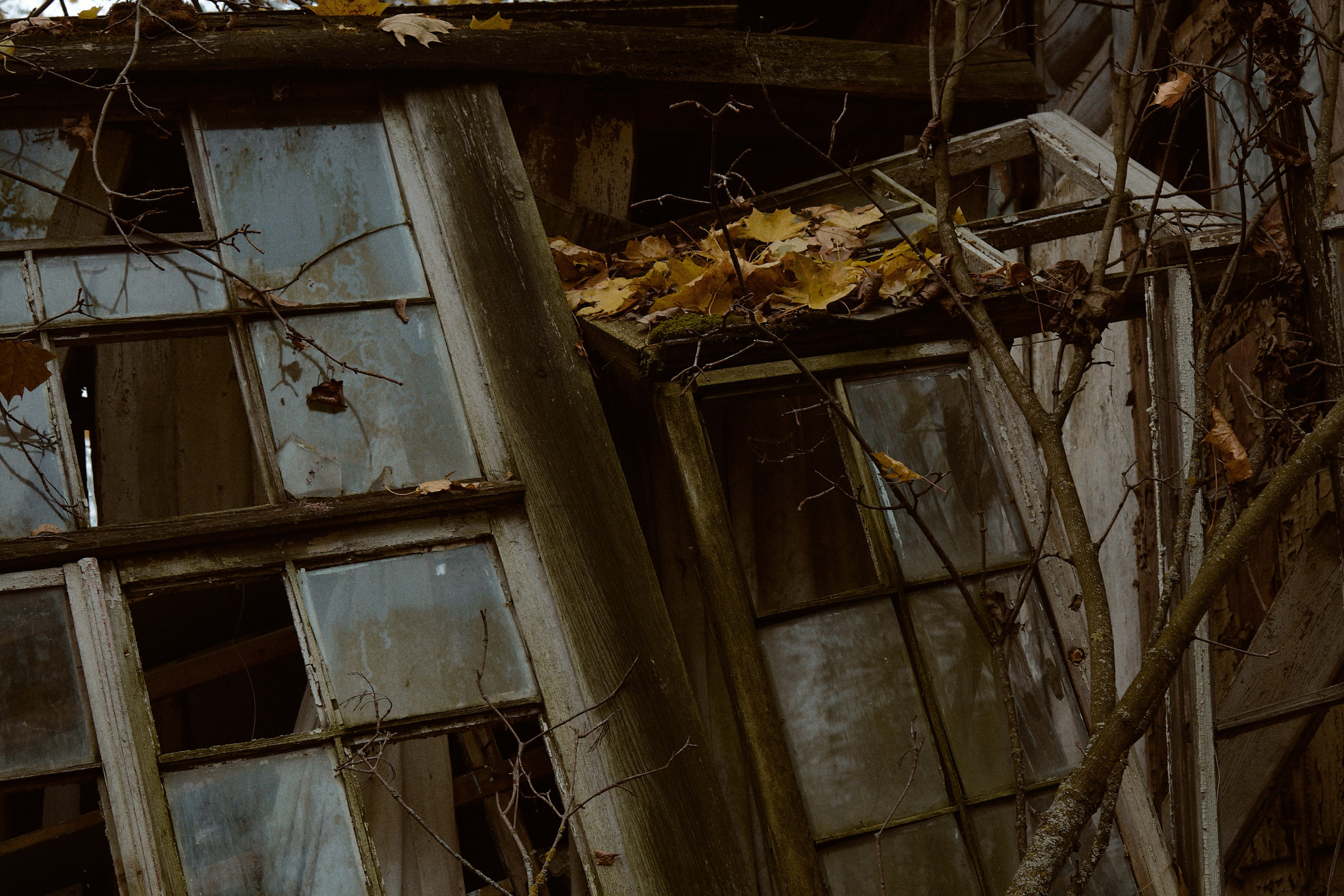 Русская сказка. Фотограф лавстори Москва/МО Приятелева Ангелина