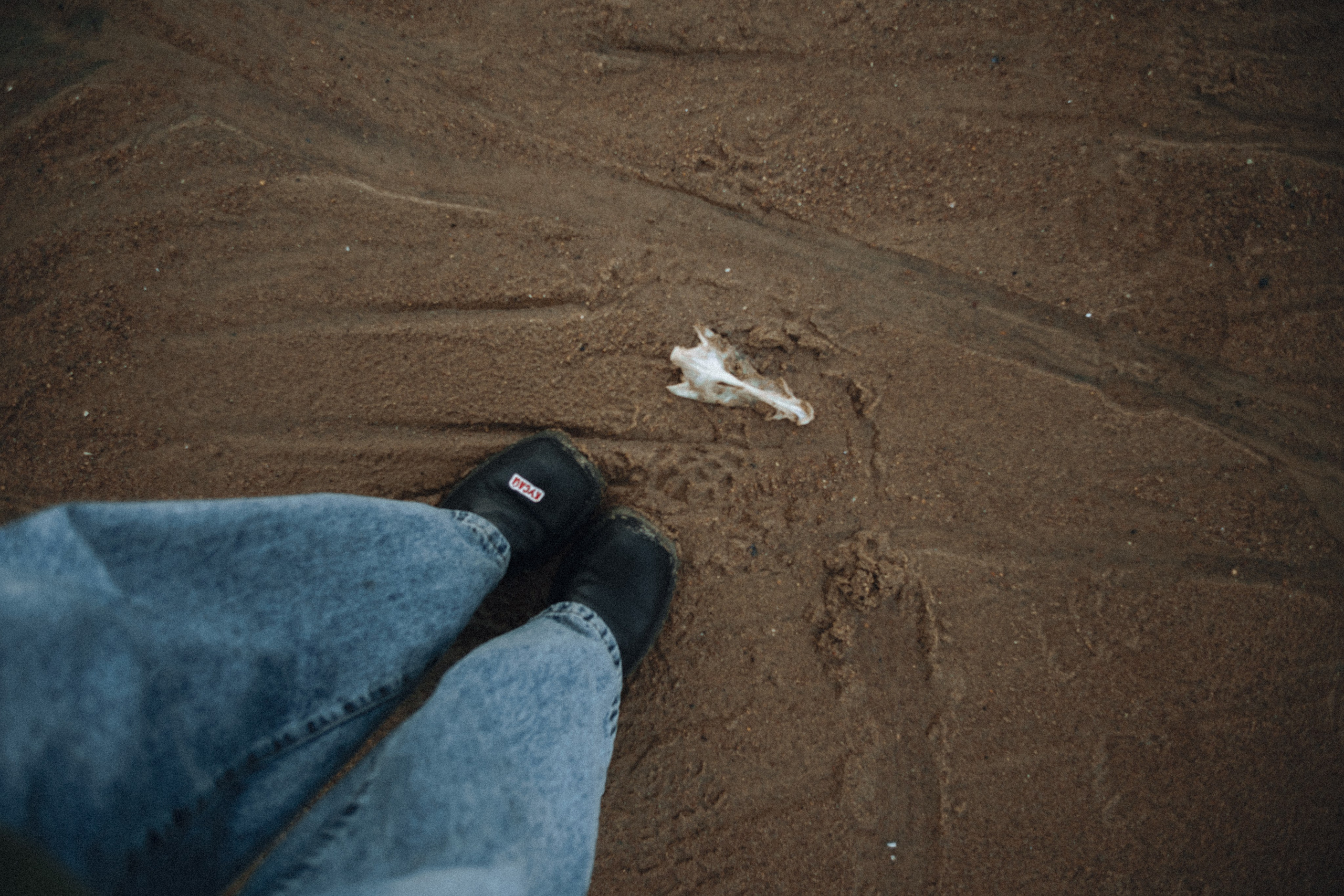 Териберка, Мурманск. Фотосъёмка для компании по организации туров в коллаборации с Яндекс 360