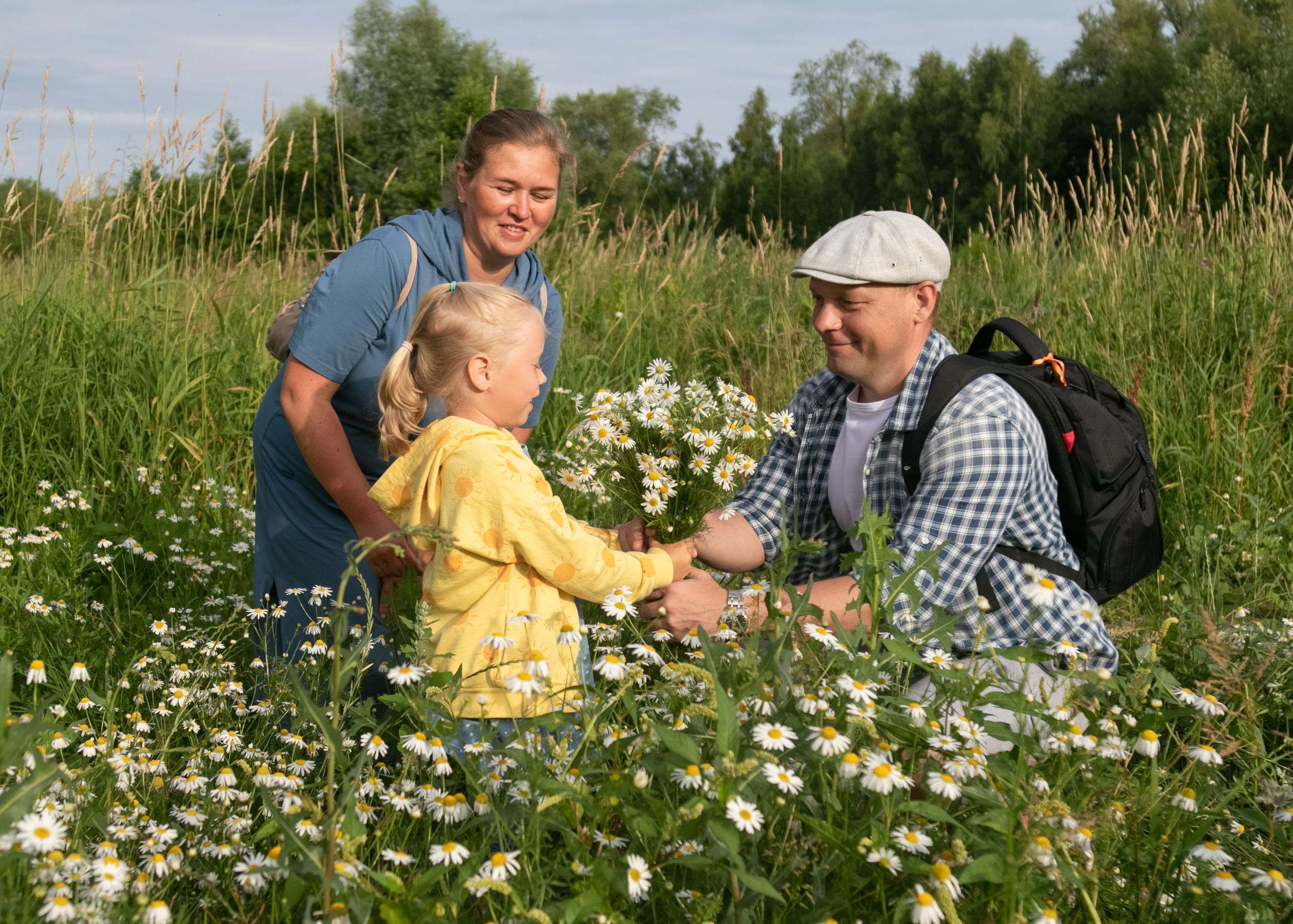 Фотосессия в ромашковом поле