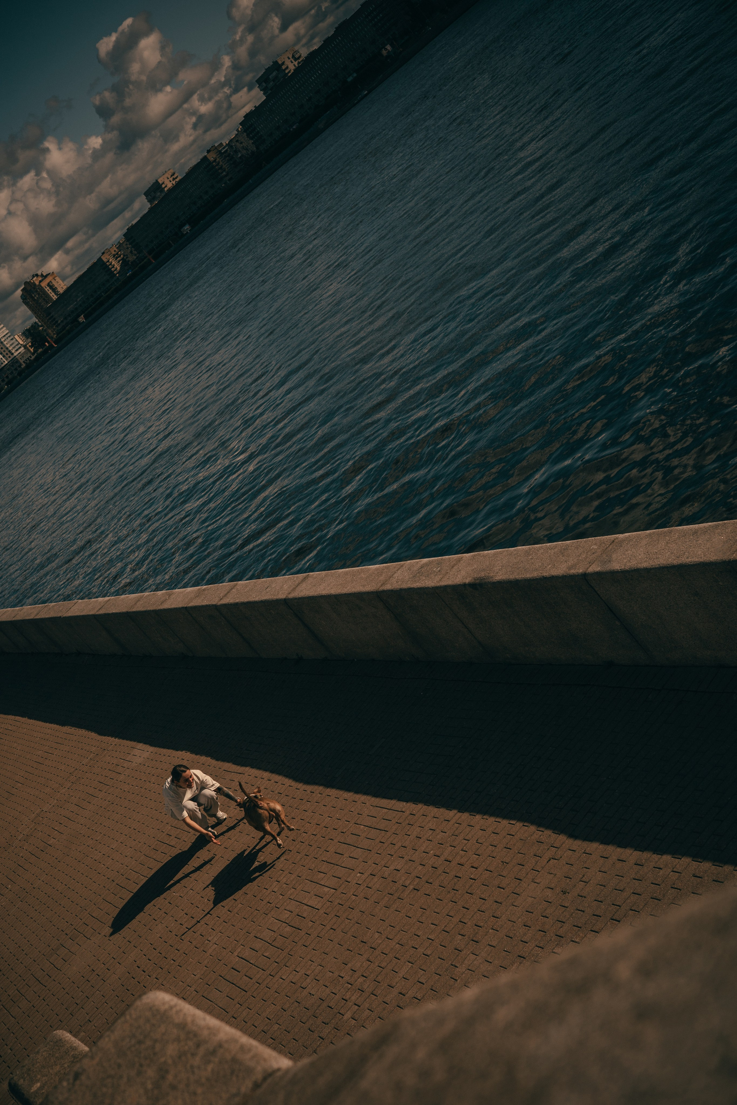 Анжела & Арес. Фотограф — анималист •love-story•|Санкт-Петербург