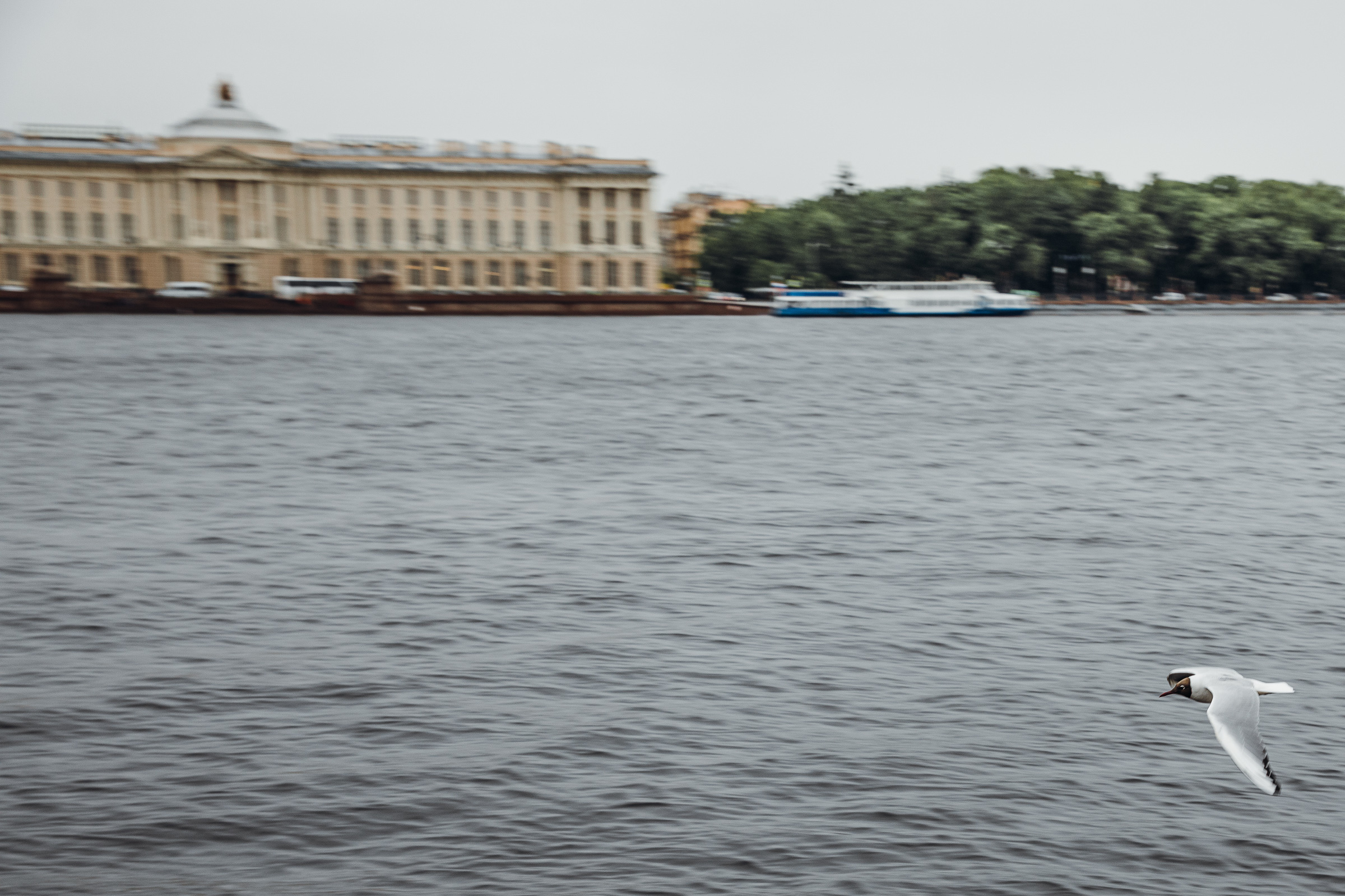 Свадьба Паши и Юли в Спб. Фотограф Антон Бубликов Сыктывкар