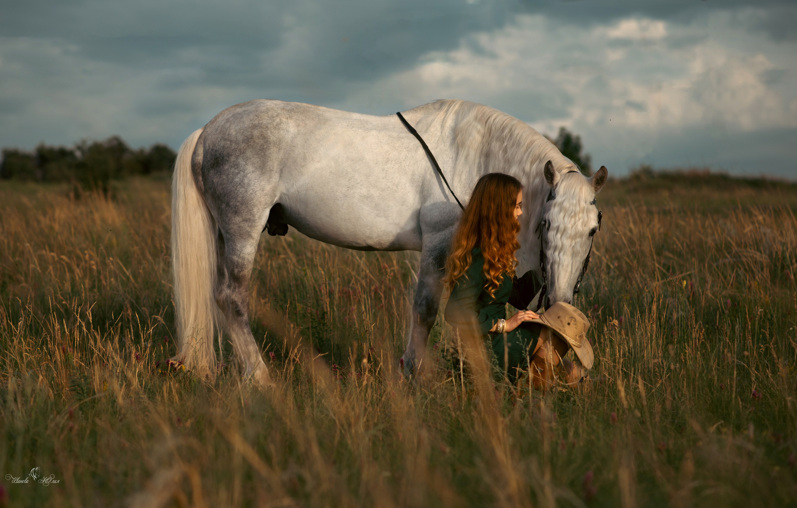 Виктория и Вымпел. Конный фотограф в Саратове Юлия Иванова