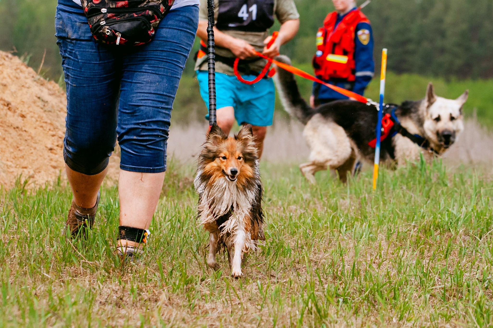 Русский экстрим кросс в Рязанской области 17.05.2025. Фотограф-анималист Татьяна Степанова