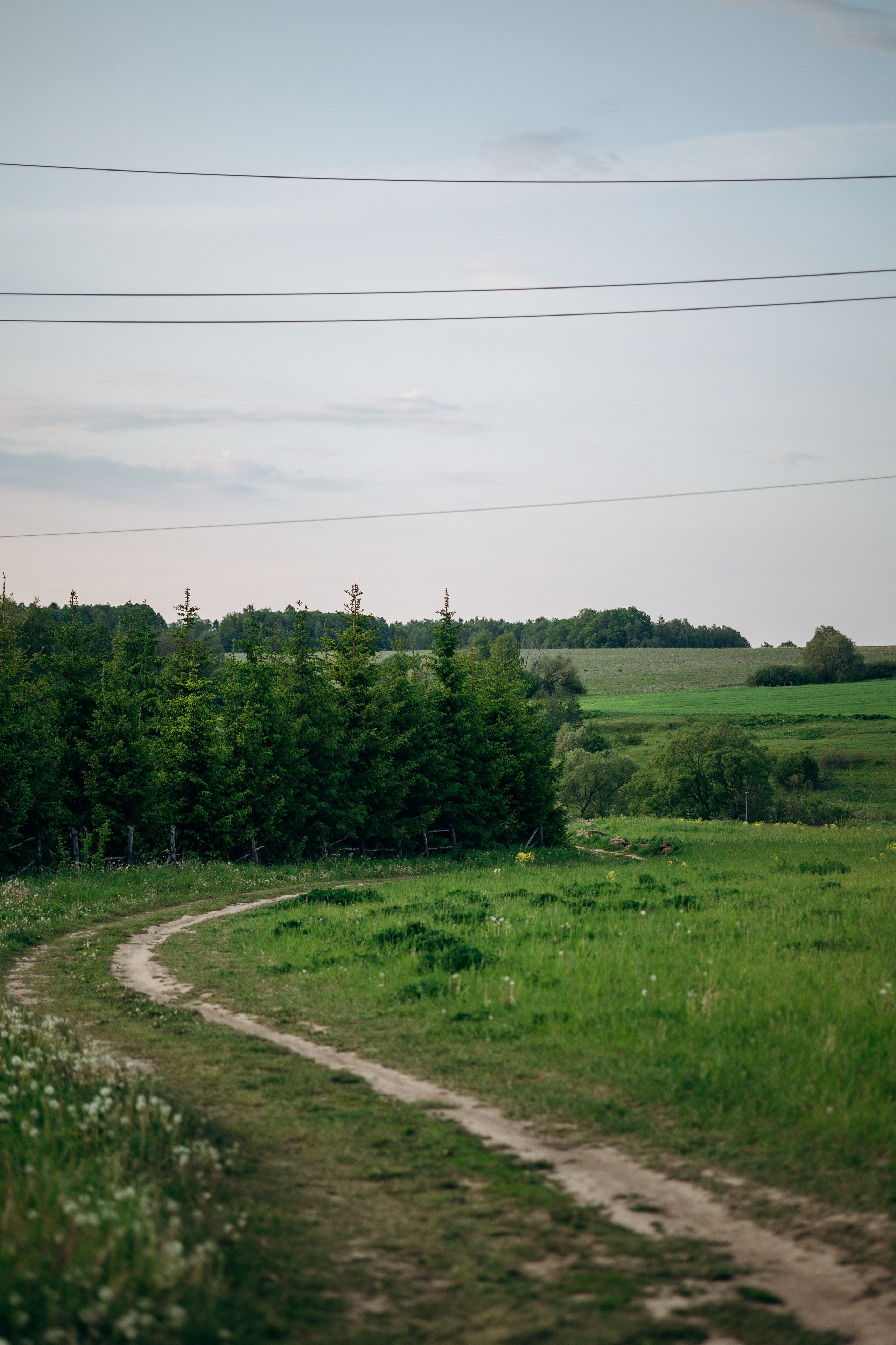 Шани и ее семья. Фотограф — Анималист | Санкт-Петербург