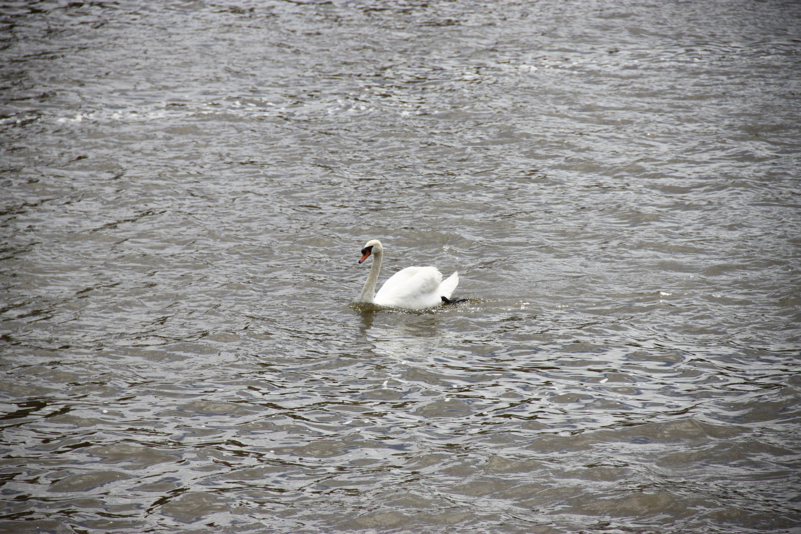 Prague, Czech Republic. Andrey Filippov Photographer