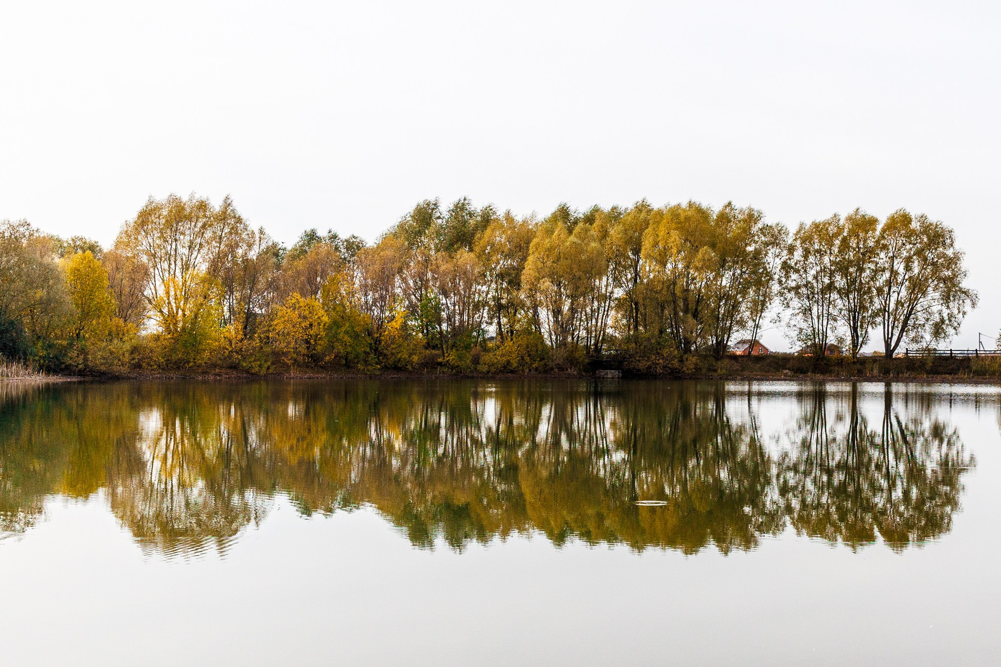 Краснооктябрьский район, 03.10.25