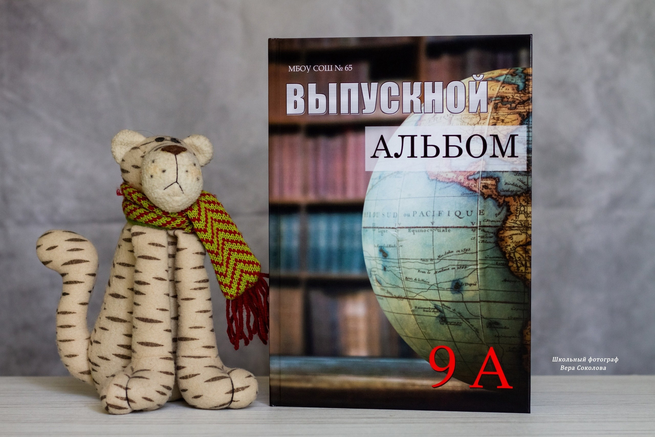 Варианты обложек. Выпускные альбомы Воронеж от Веры Соколовой