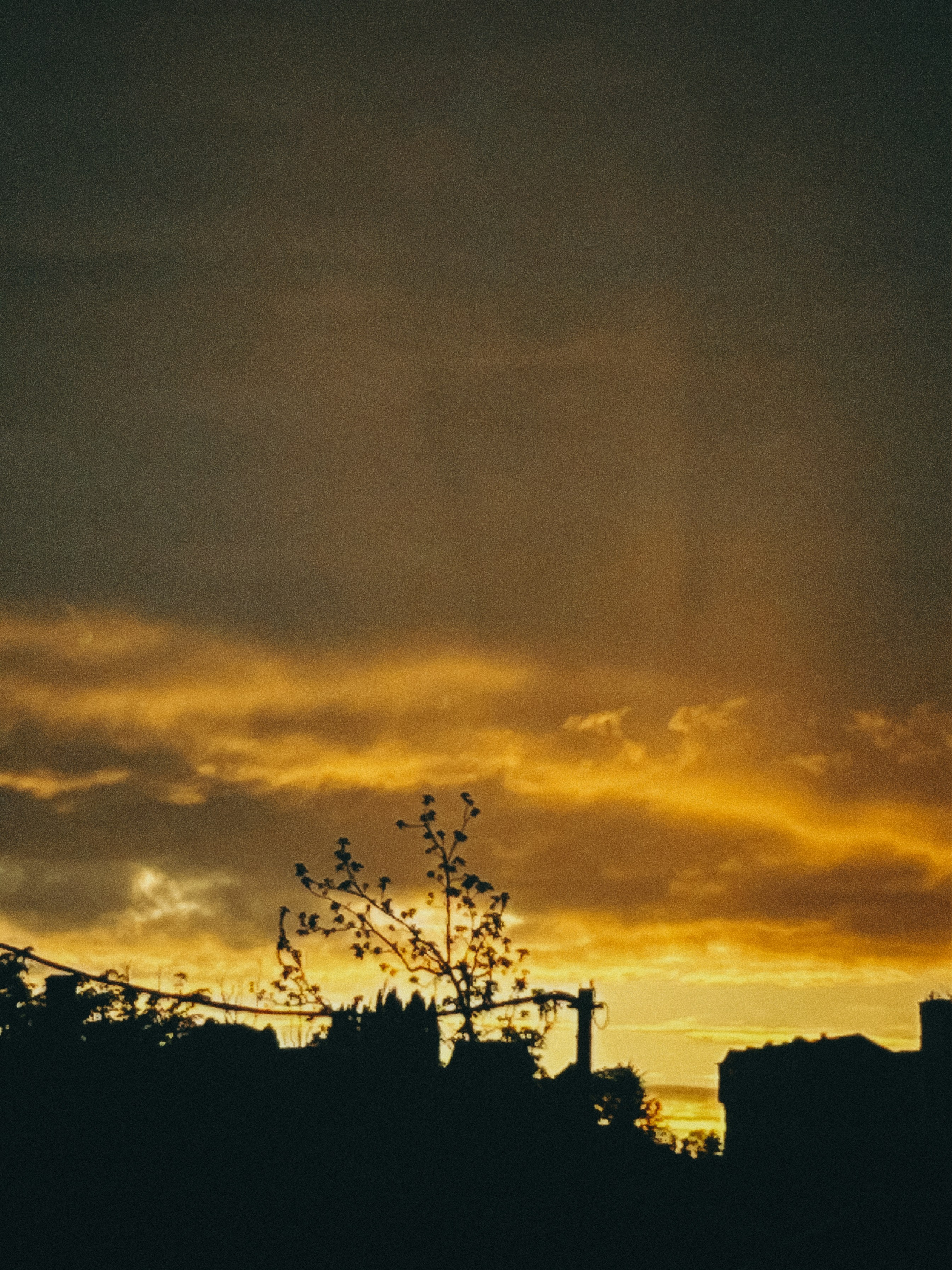 СОЧИ. Портретный и лавстори фотограф в Стерлитамаке Альбина Шарт