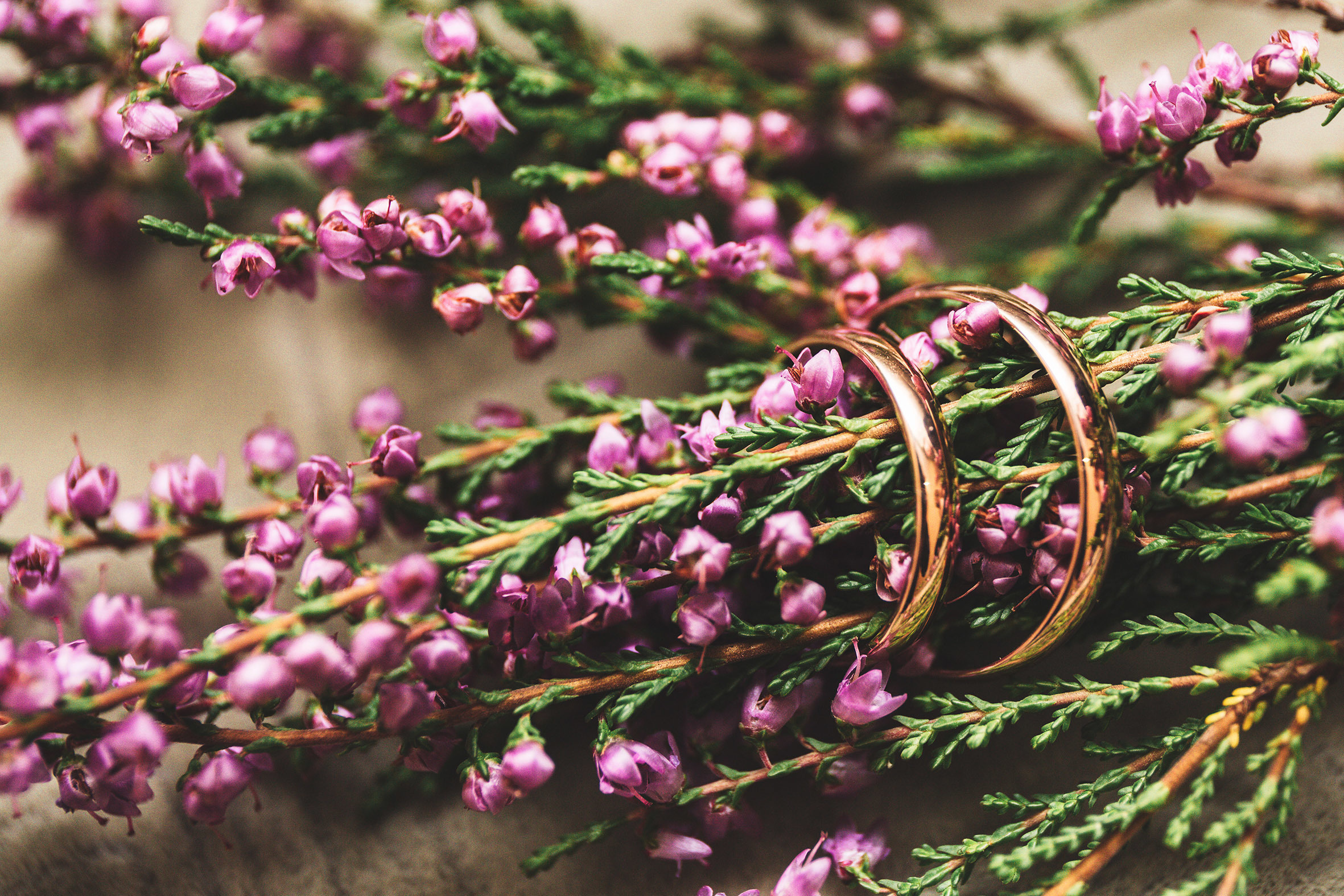 Анастасия и Александр. Свадебный и семейный фотограф в Санкт-Петербурге Евгений Панин