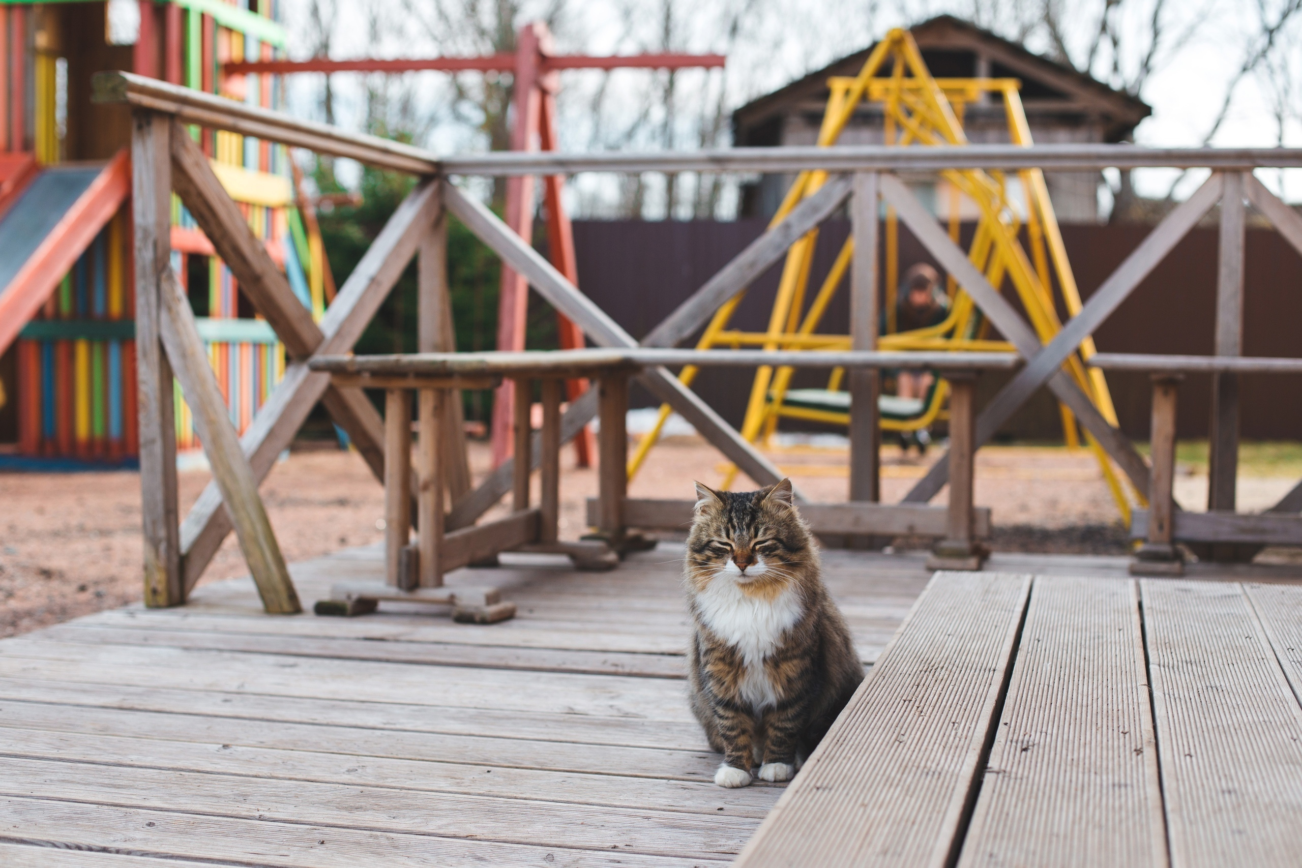 Руфина и Вячеслав. Свадебный и семейный фотограф в Санкт-Петербурге Евгений Панин