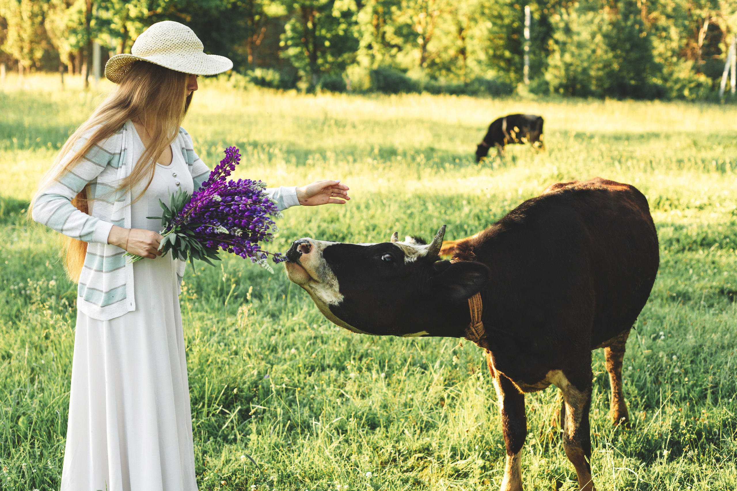 Наташа. Свадебный и семейный фотограф в Санкт-Петербурге Евгений Панин