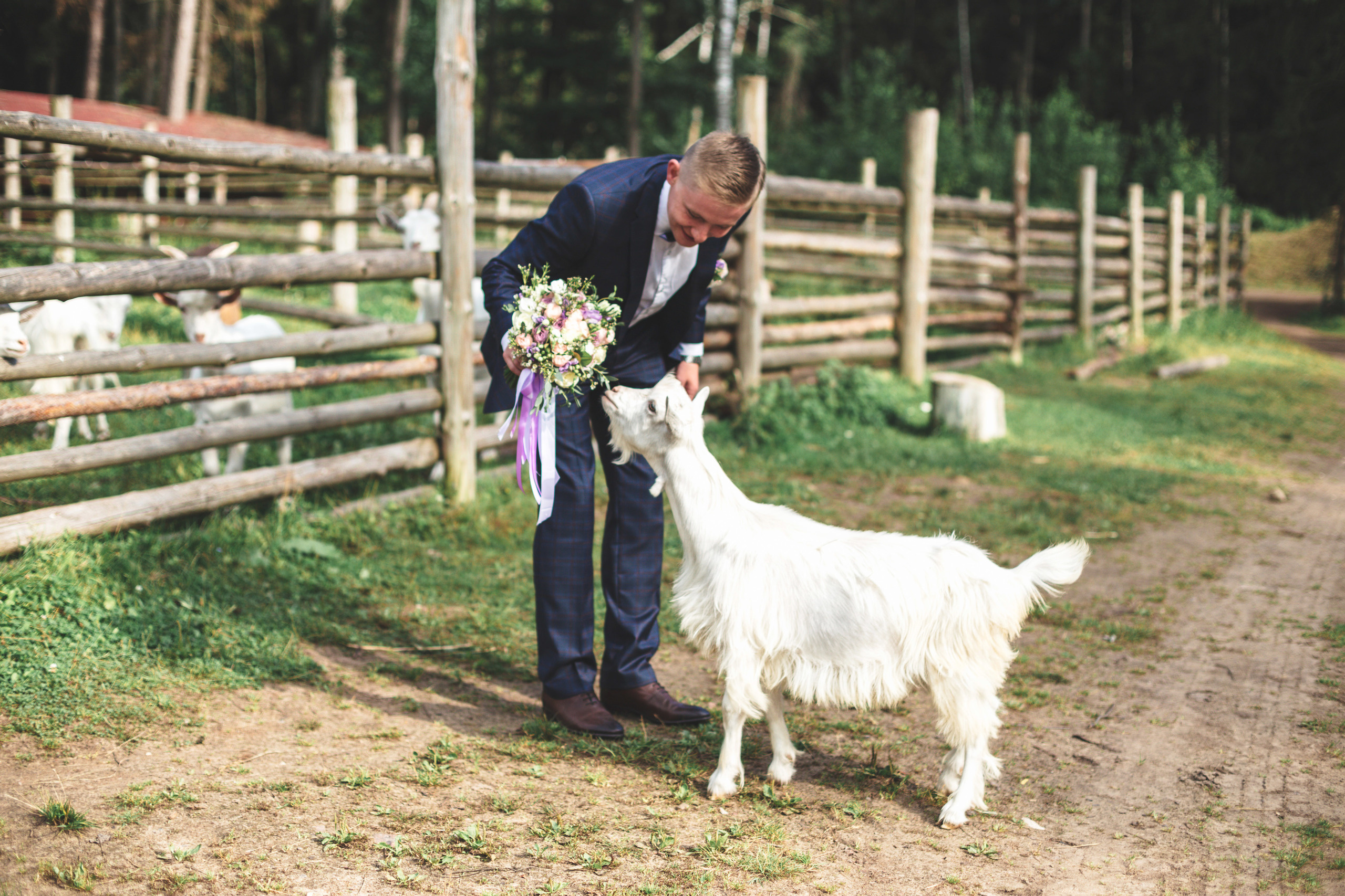 Оксана и Евгений. Свадебный и семейный фотограф в Санкт-Петербурге Евгений Панин