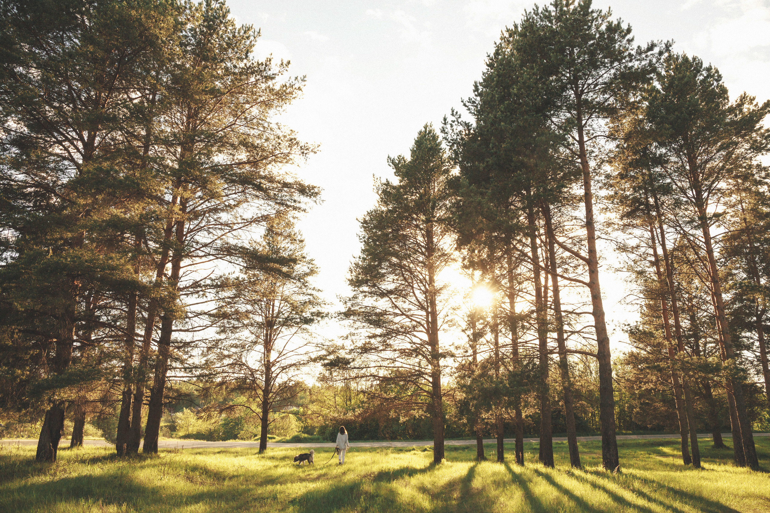 Татьяна. Свадебный и семейный фотограф в Санкт-Петербурге Евгений Панин