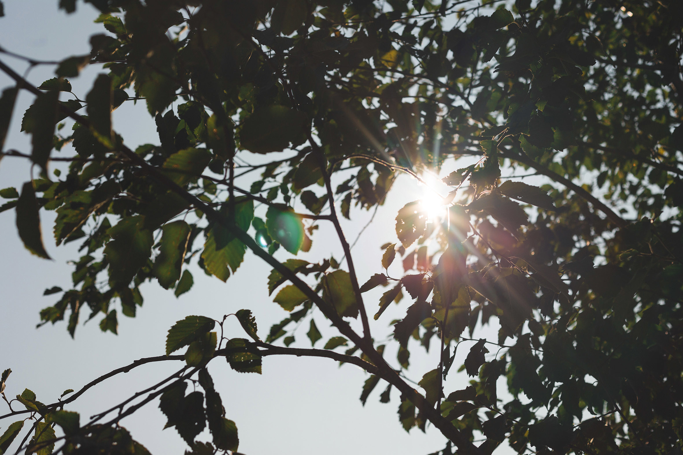 Анастасия и Александр. Свадебный и семейный фотограф в Санкт-Петербурге Евгений Панин