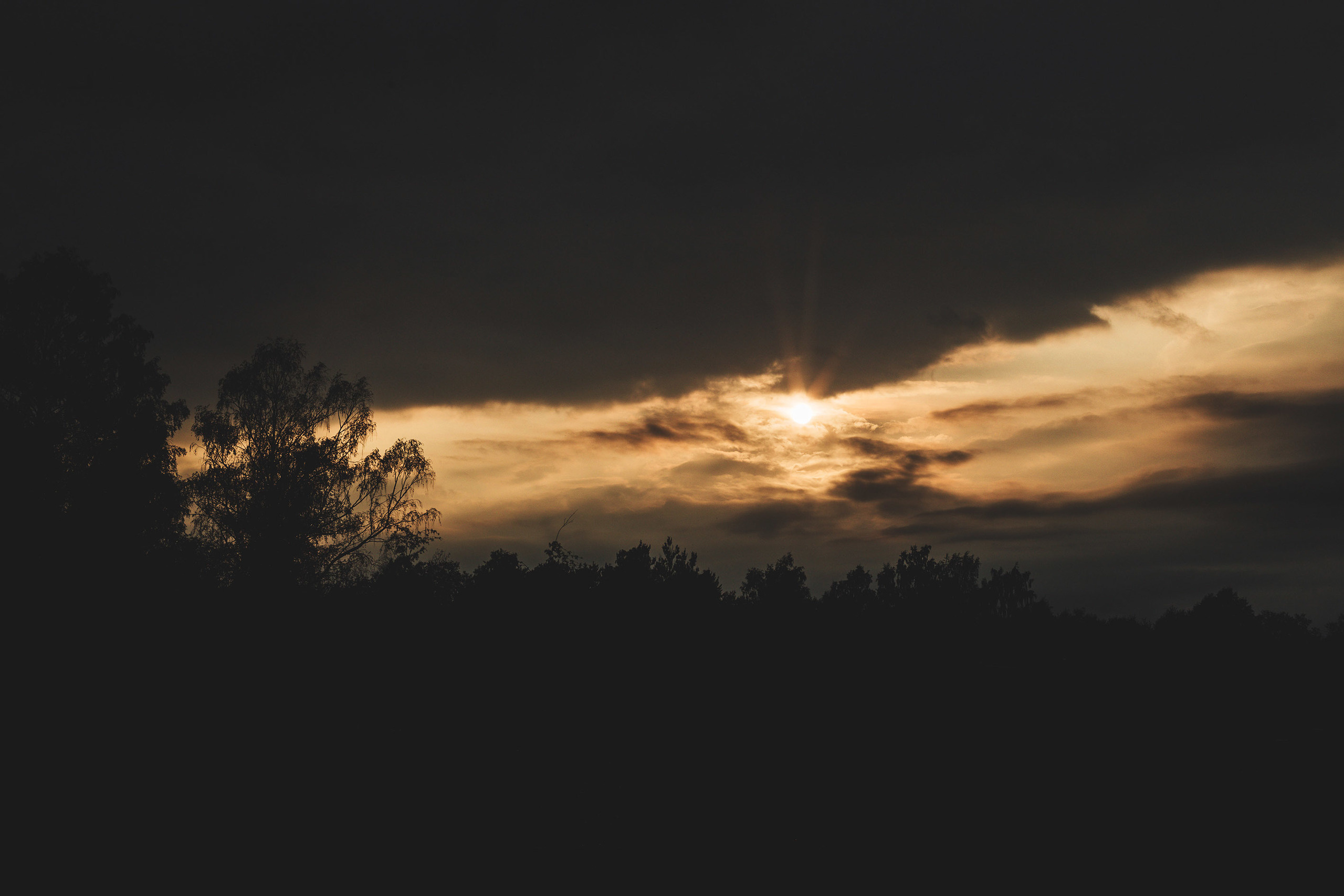 Даша и Дима. Свадебный и семейный фотограф в Санкт-Петербурге Евгений Панин