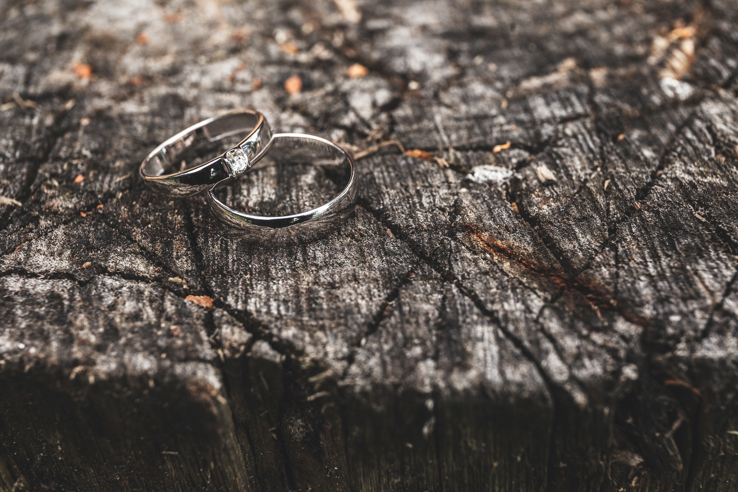 Оксана и Евгений. Свадебный и семейный фотограф в Санкт-Петербурге Евгений Панин