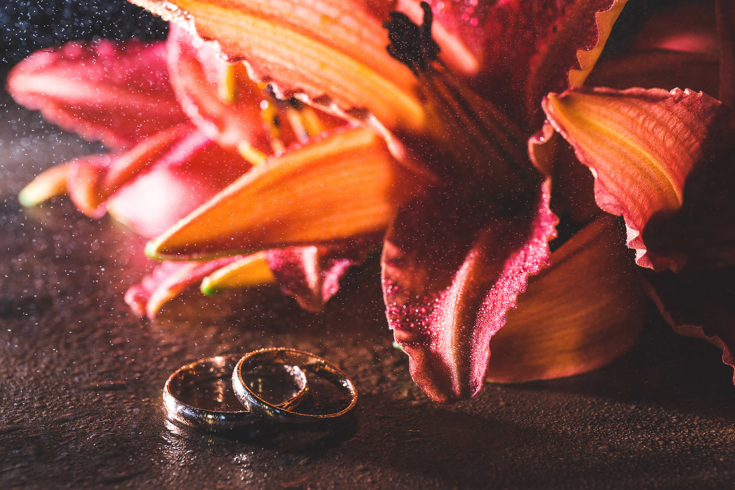 Анастасия и Александр. Свадебный и семейный фотограф в Санкт-Петербурге Евгений Панин