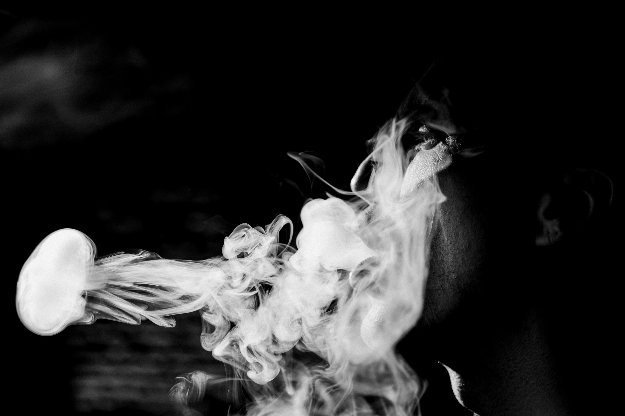 Happy Birthday Punk & Rock. Свадебный фотограф в Москве