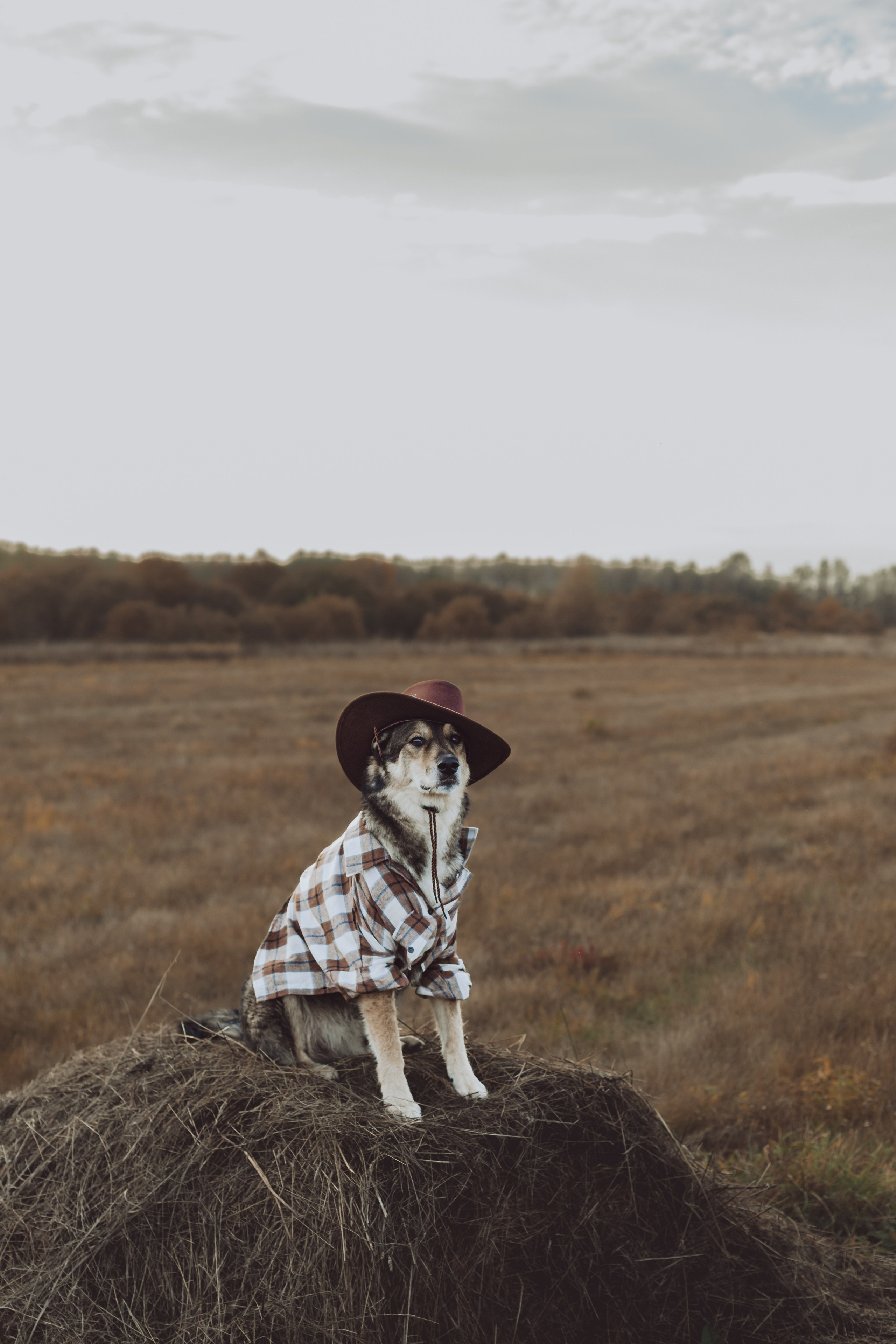 Кантри Дюк. Фотограф-анималист Татьяна Степанова