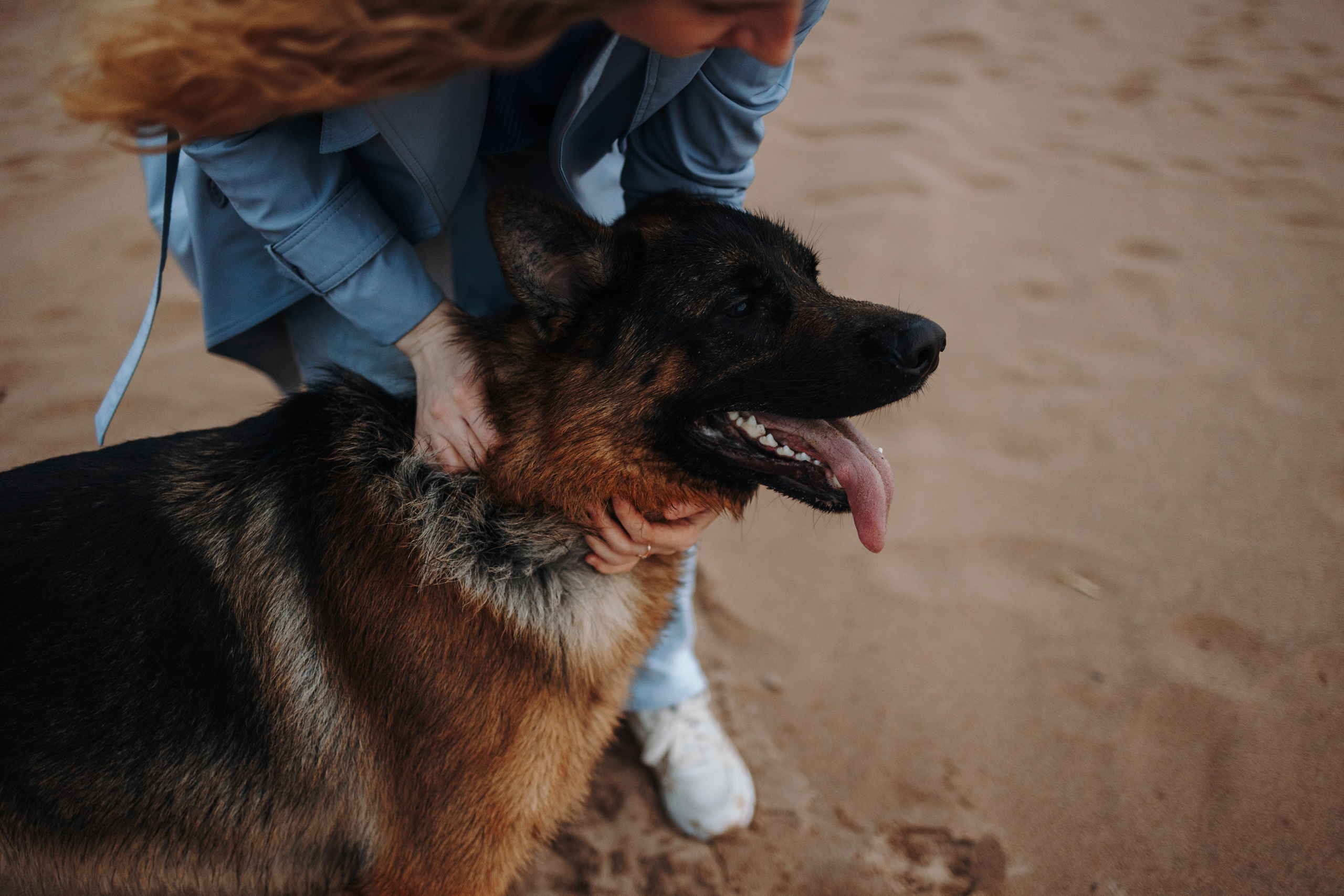 Катя и Агат. Фотограф — Анималист | Санкт-Петербург