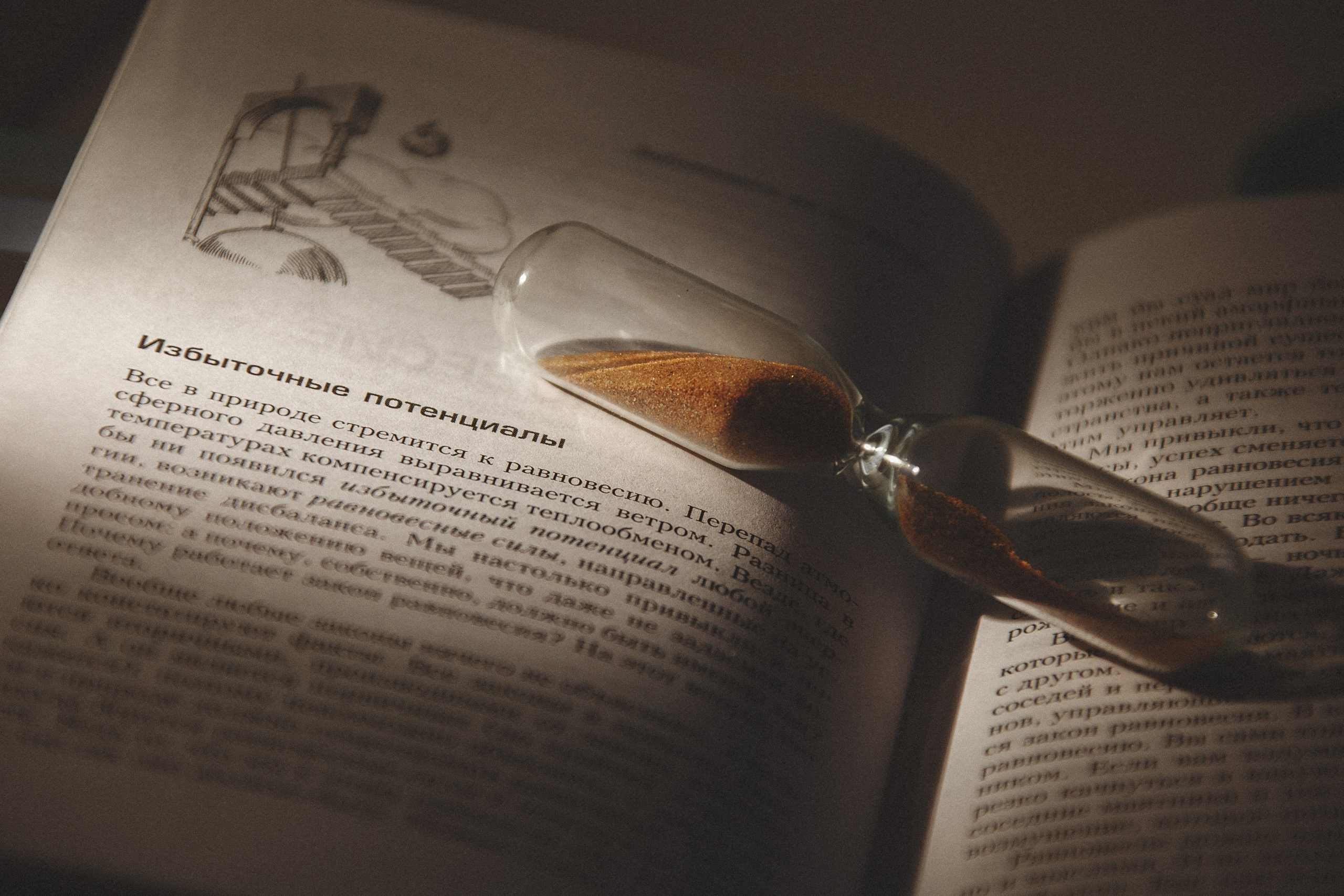 Проект «366»|2024|Фото каждый день. LENA GRACE photographer ||ЛЕНА ГРЭЙС фотограф